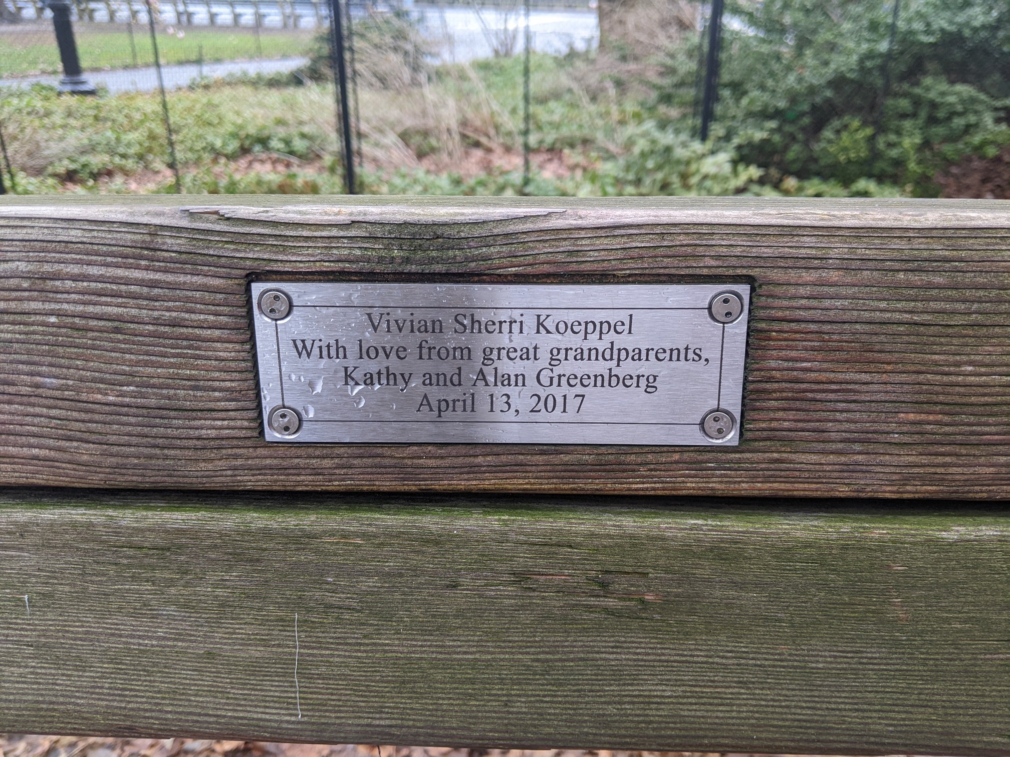 I saw this bench in Central Park