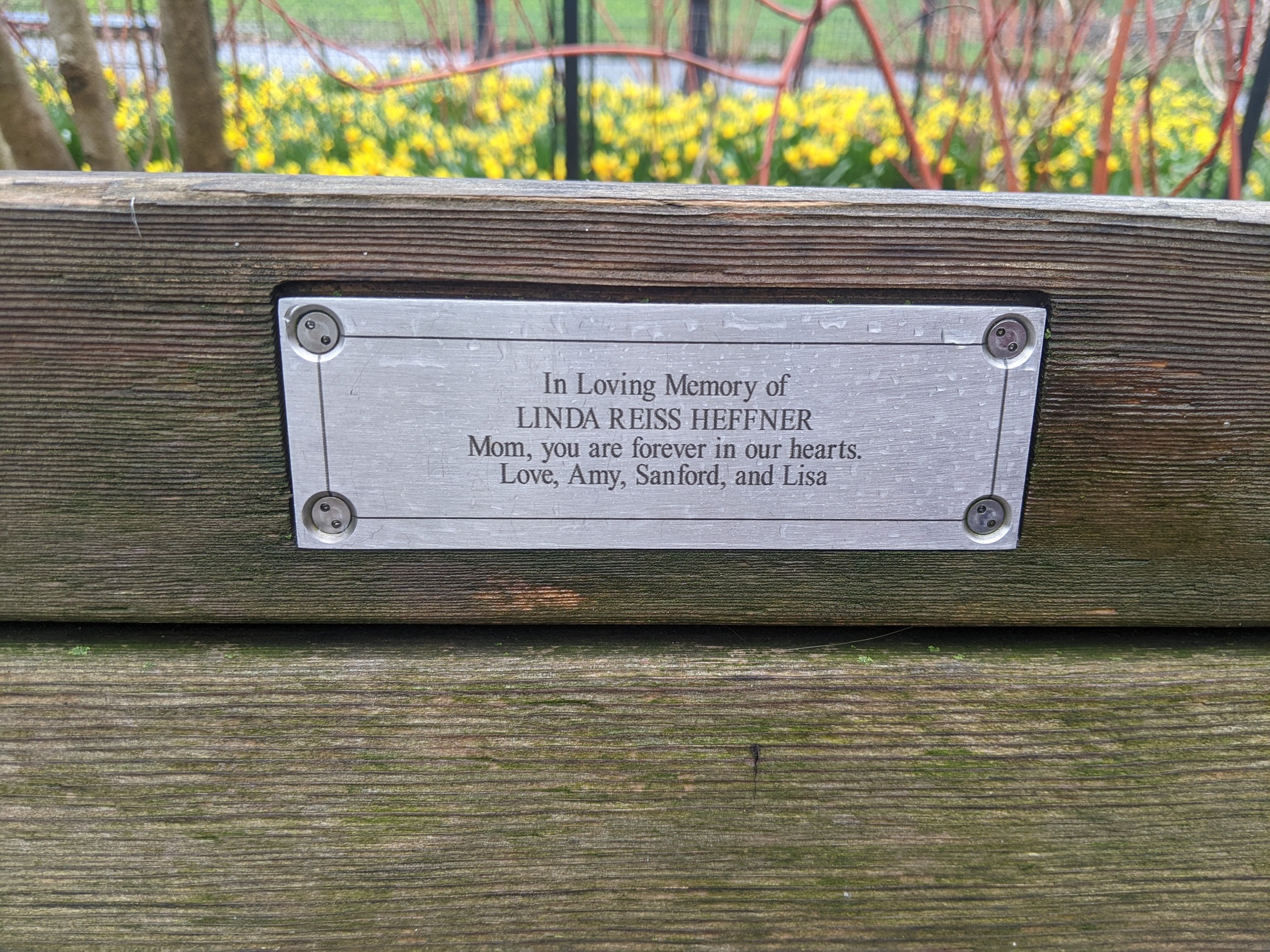 I saw this bench in Central Park