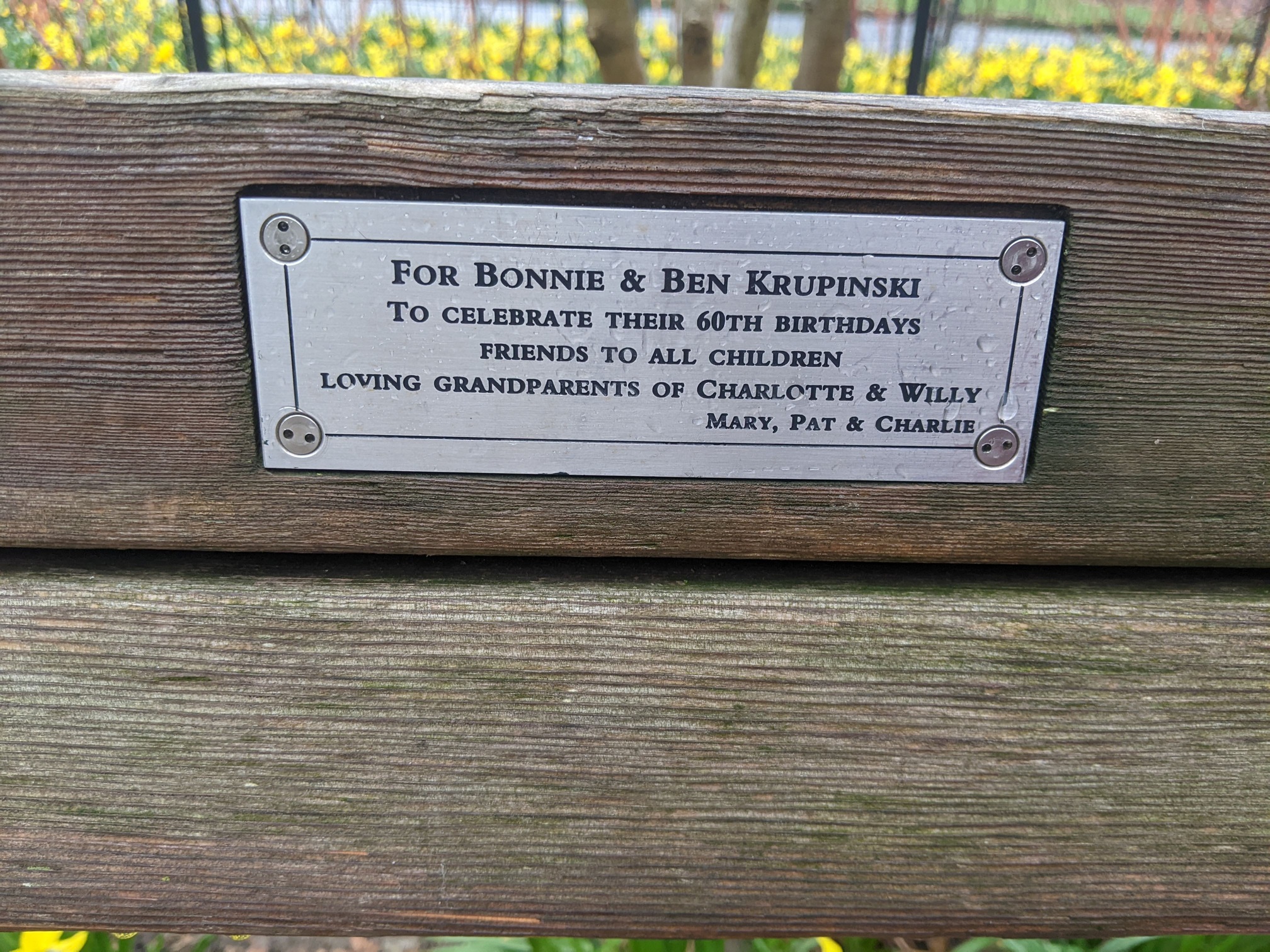 I saw this bench in Central Park