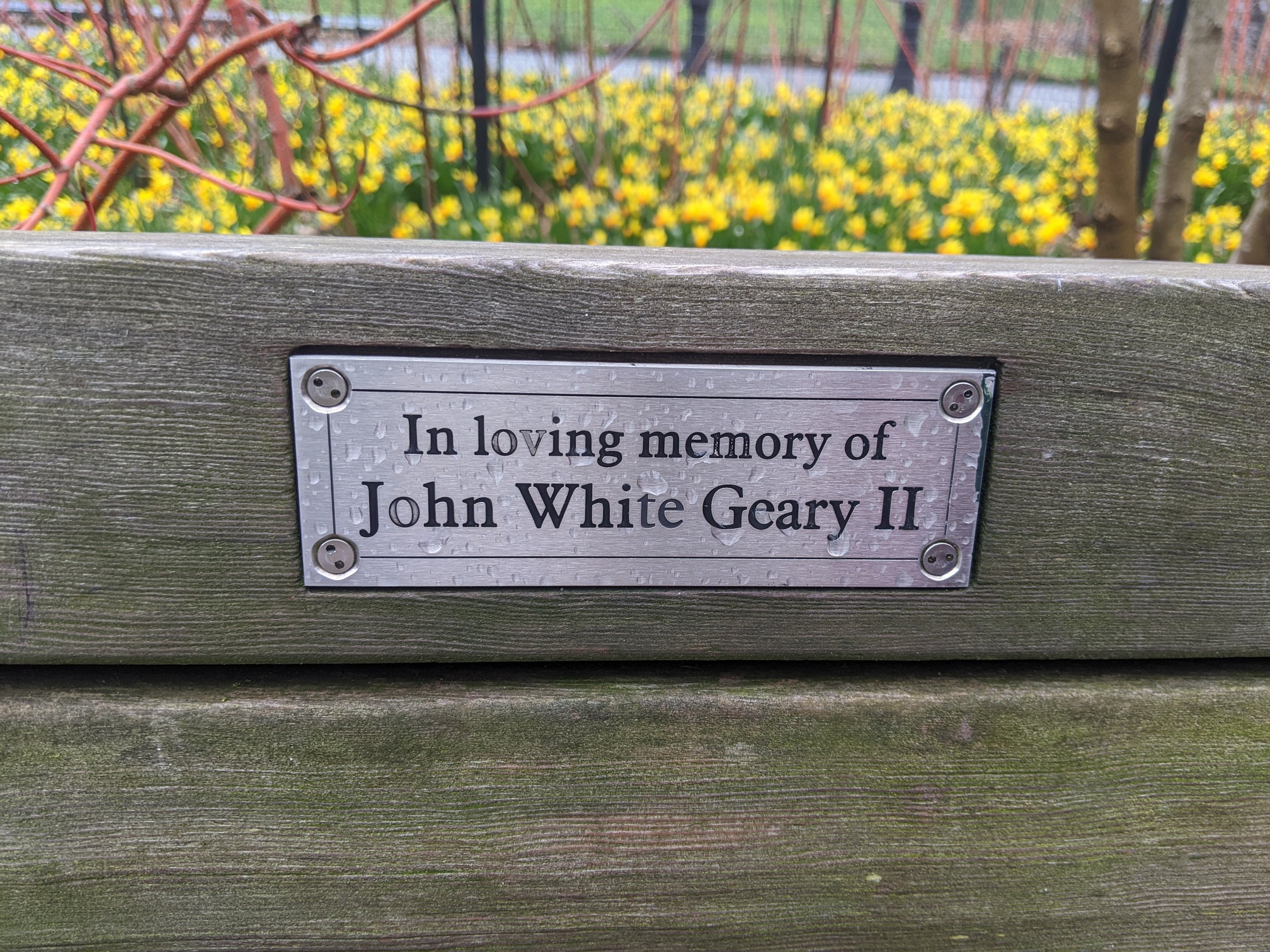 I saw this bench in Central Park