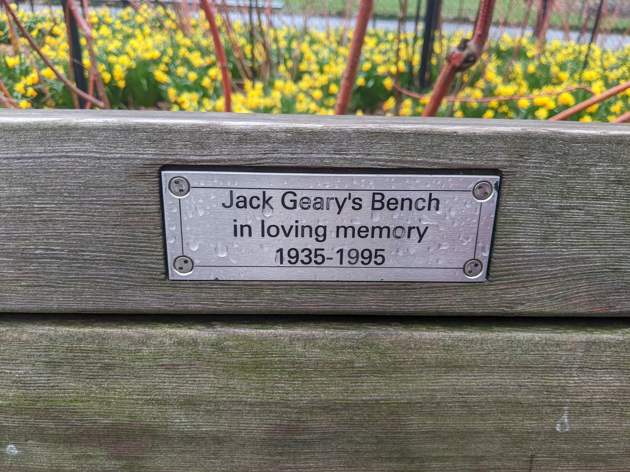 I saw this bench in Central Park