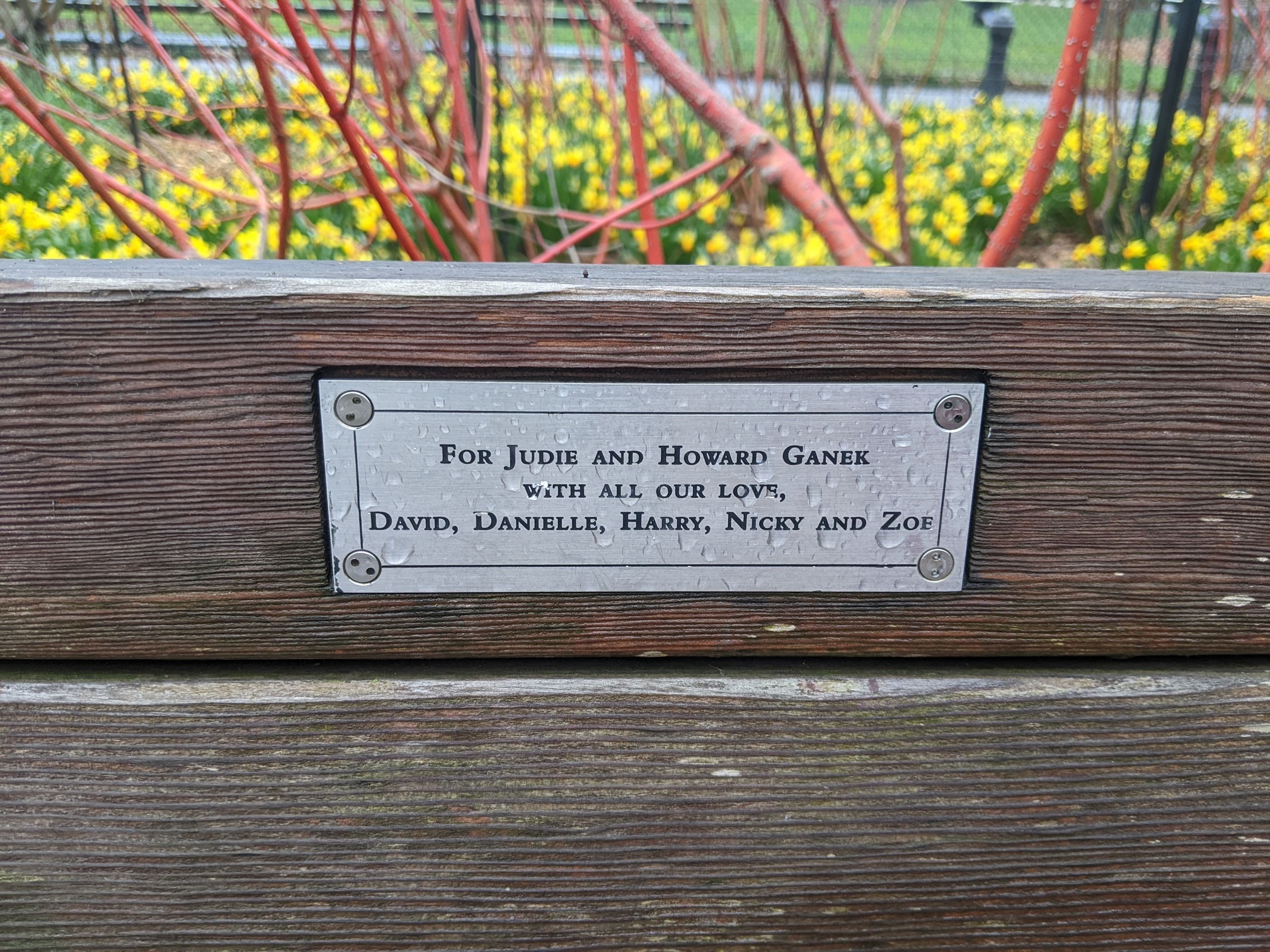 I saw this bench in Central Park