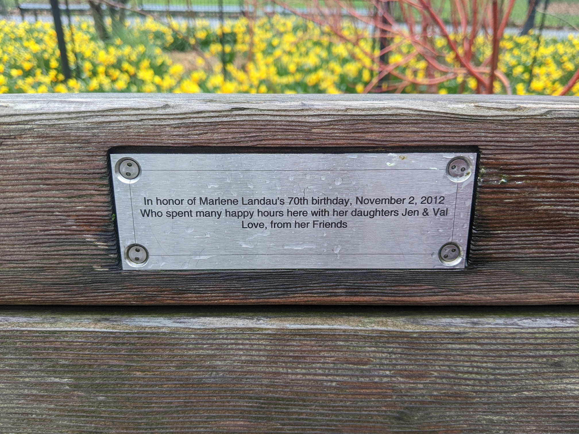 I saw this bench in Central Park