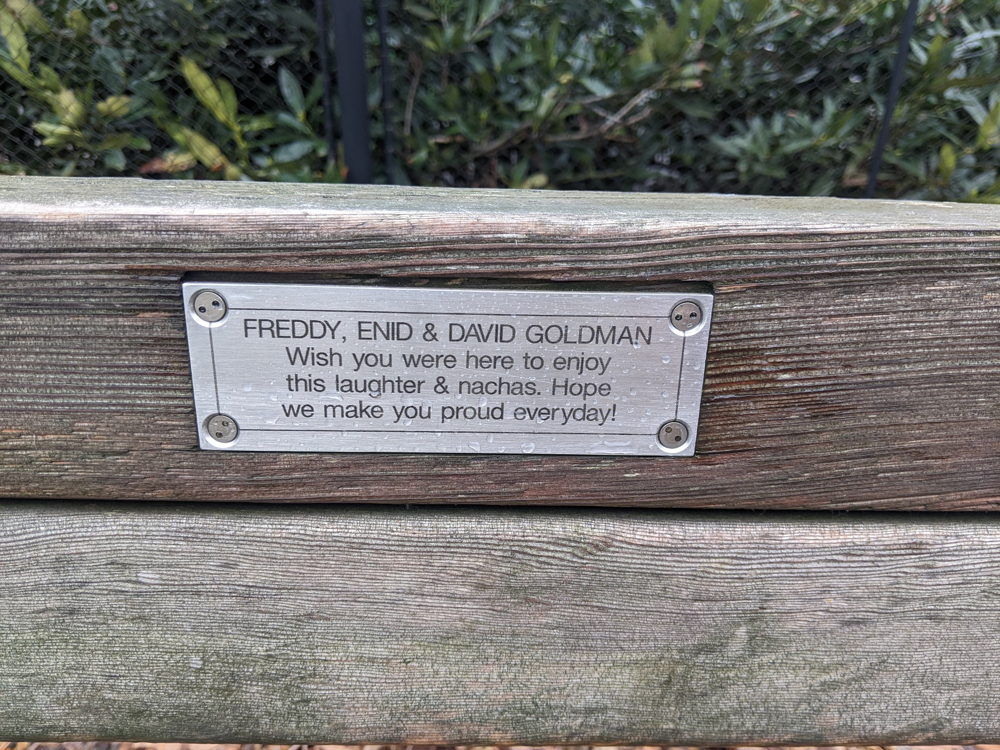 I saw this bench in Central Park