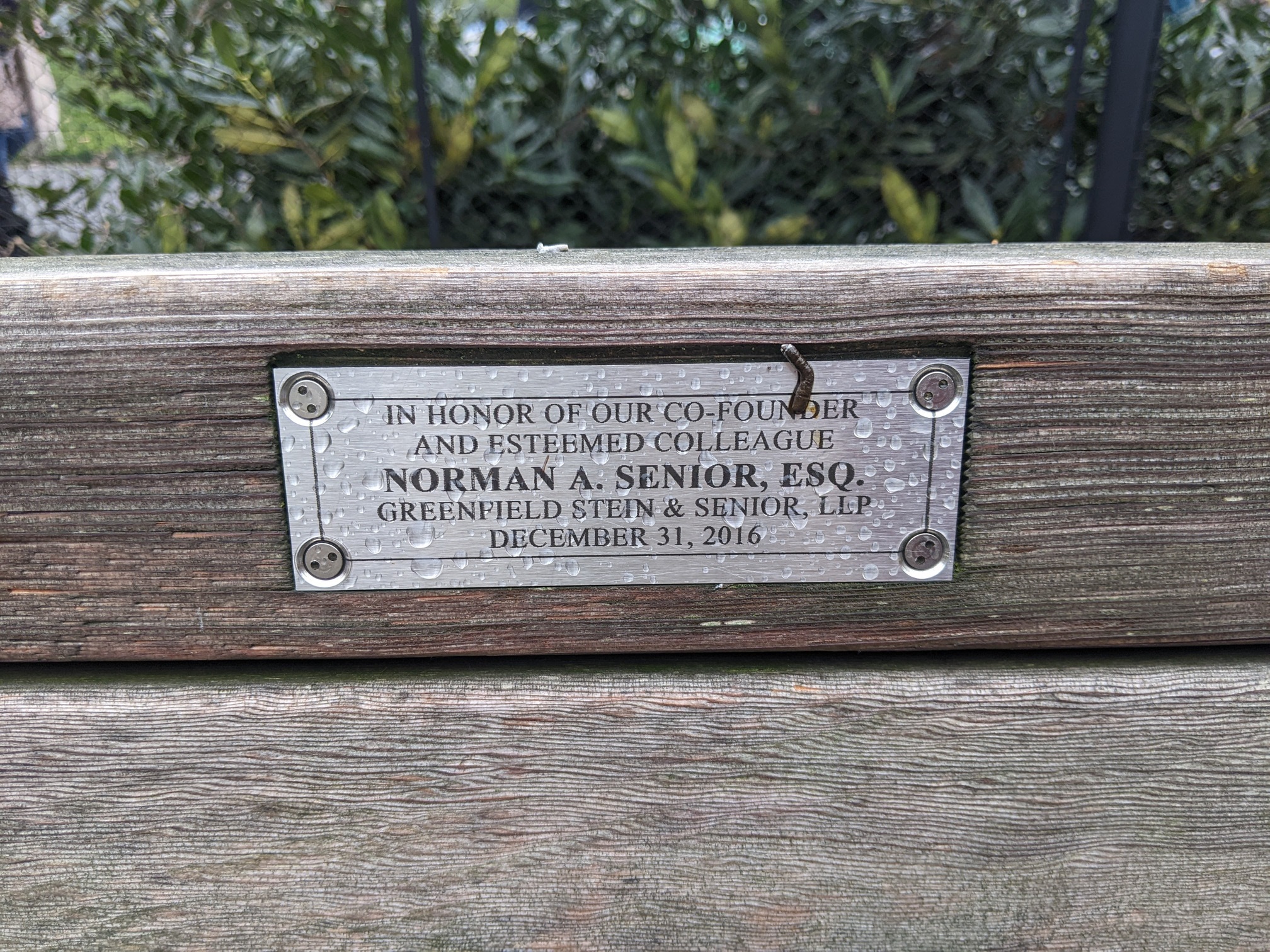 I saw this bench in Central Park