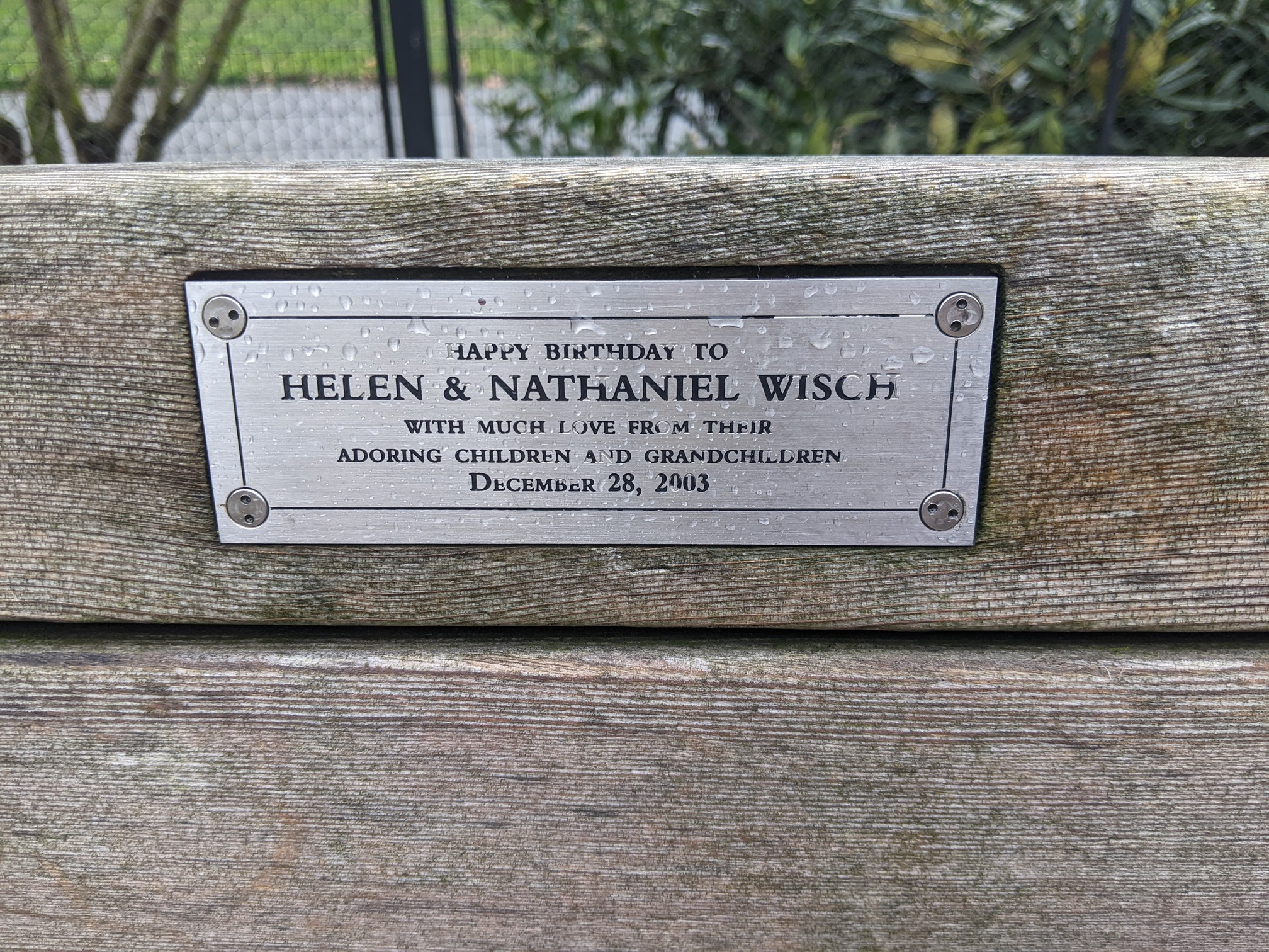 I saw this bench in Central Park