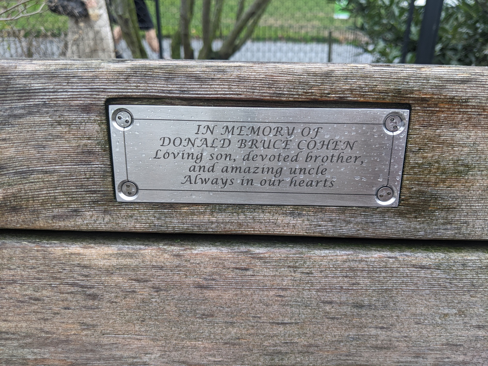 I saw this bench in Central Park