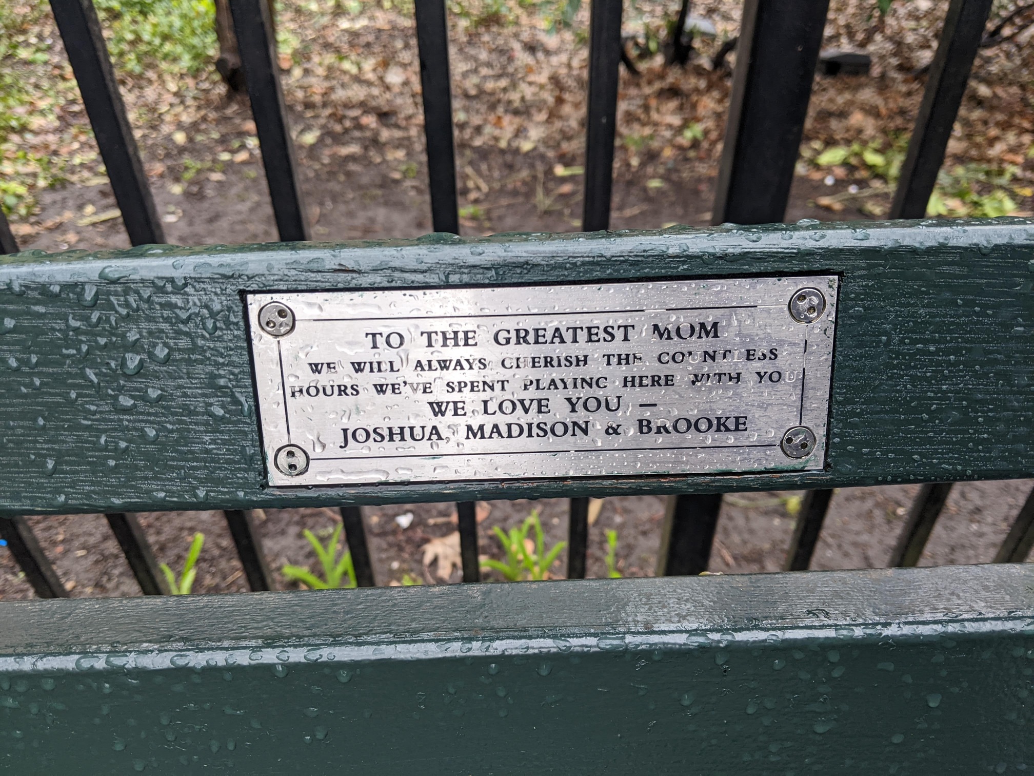 I saw this bench in Central Park