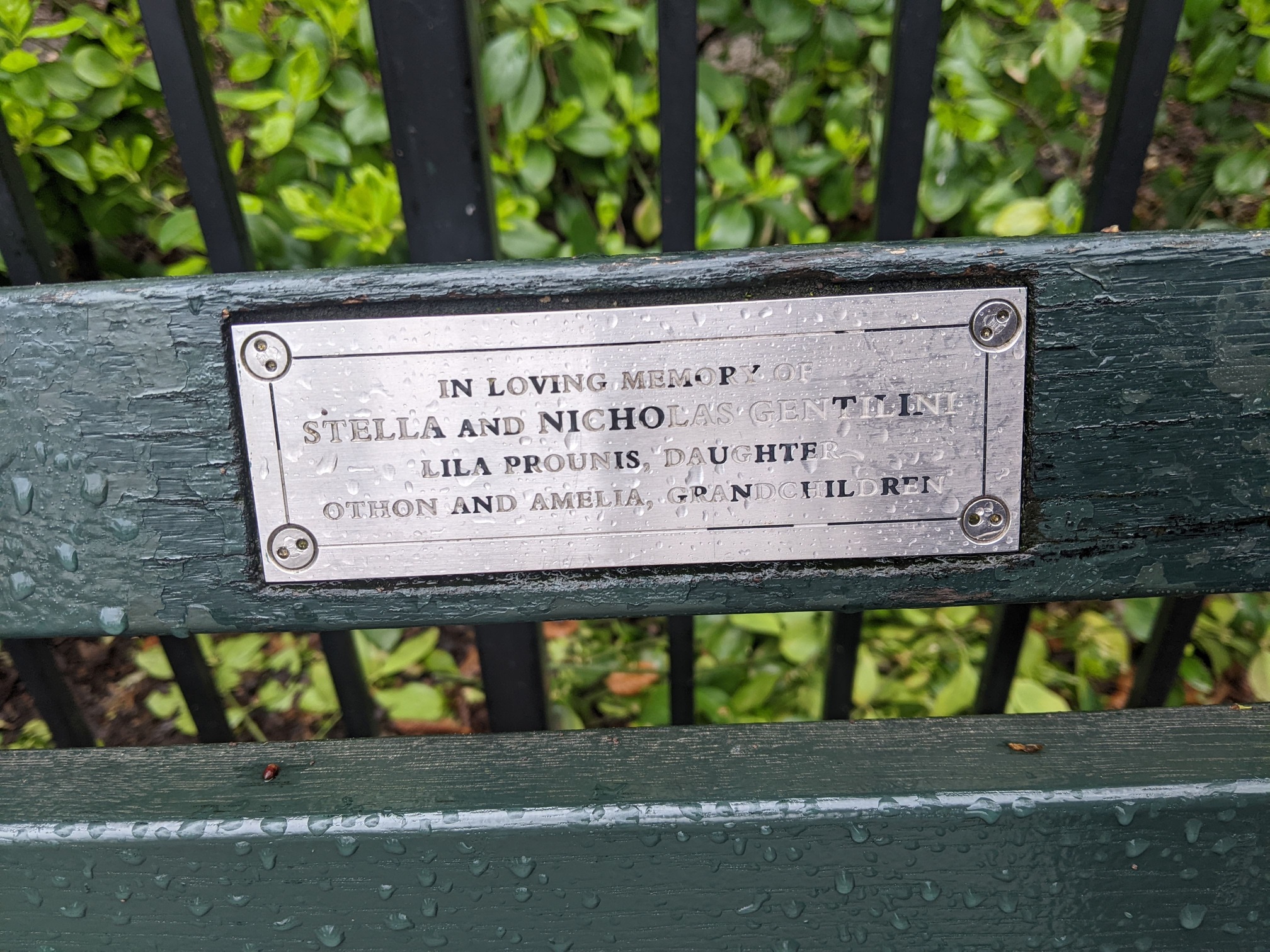 I saw this bench in Central Park