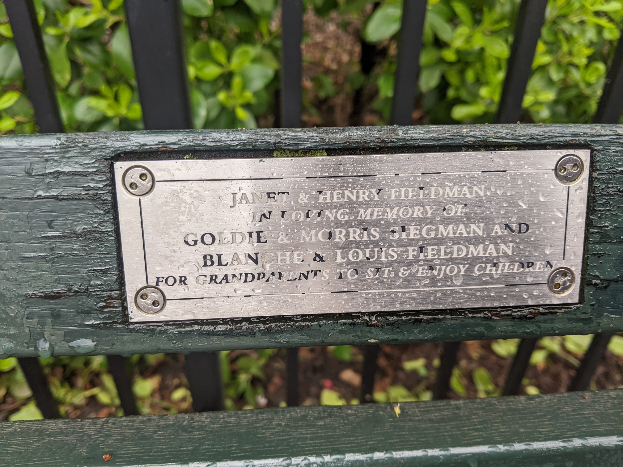 I saw this bench in Central Park