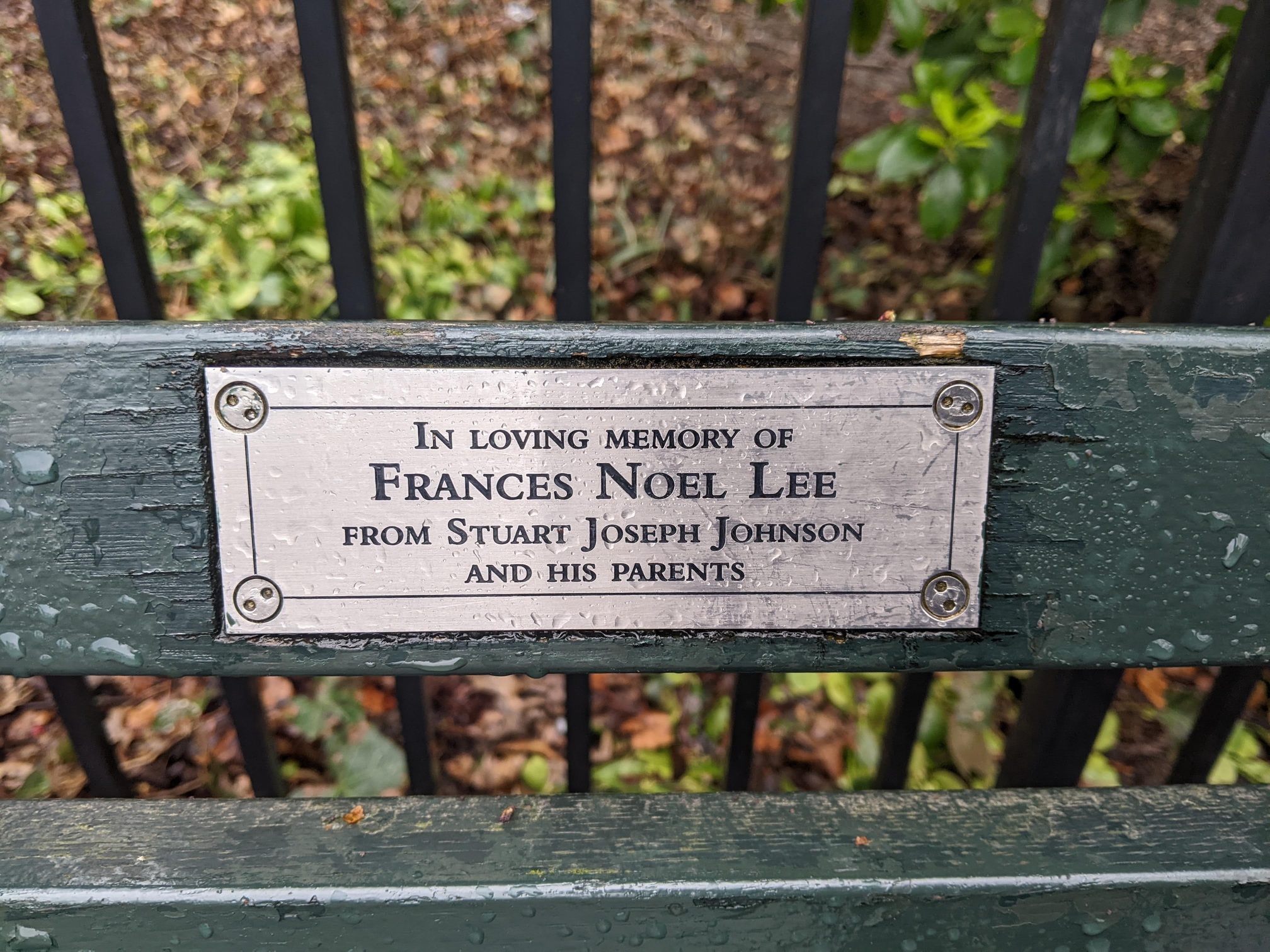 I saw this bench in Central Park