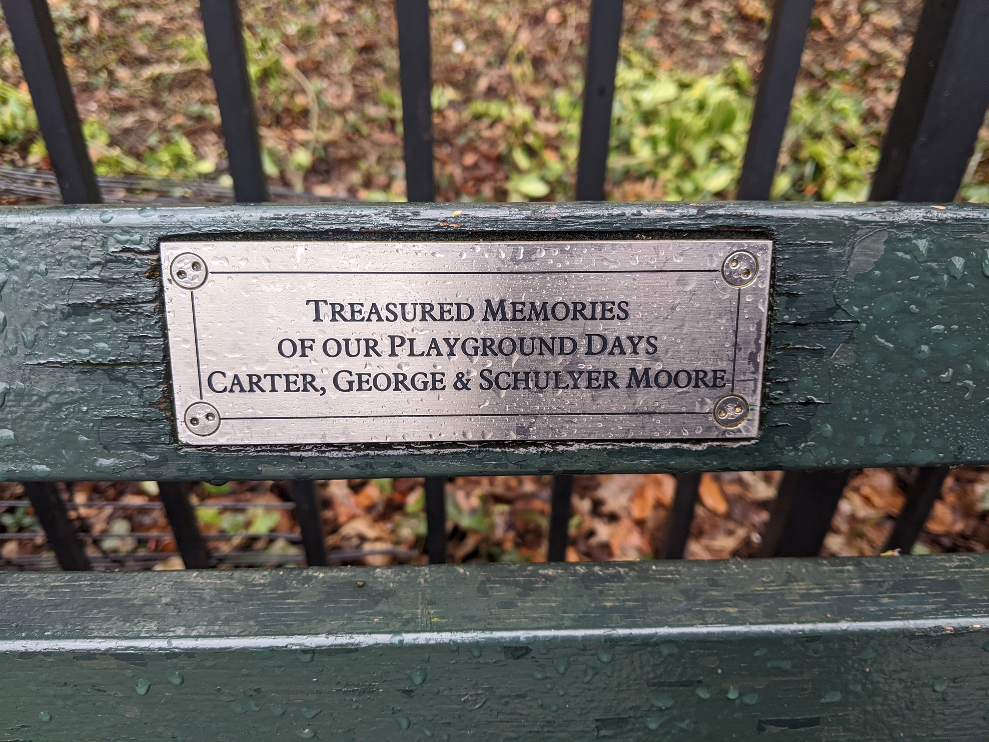 I saw this bench in Central Park