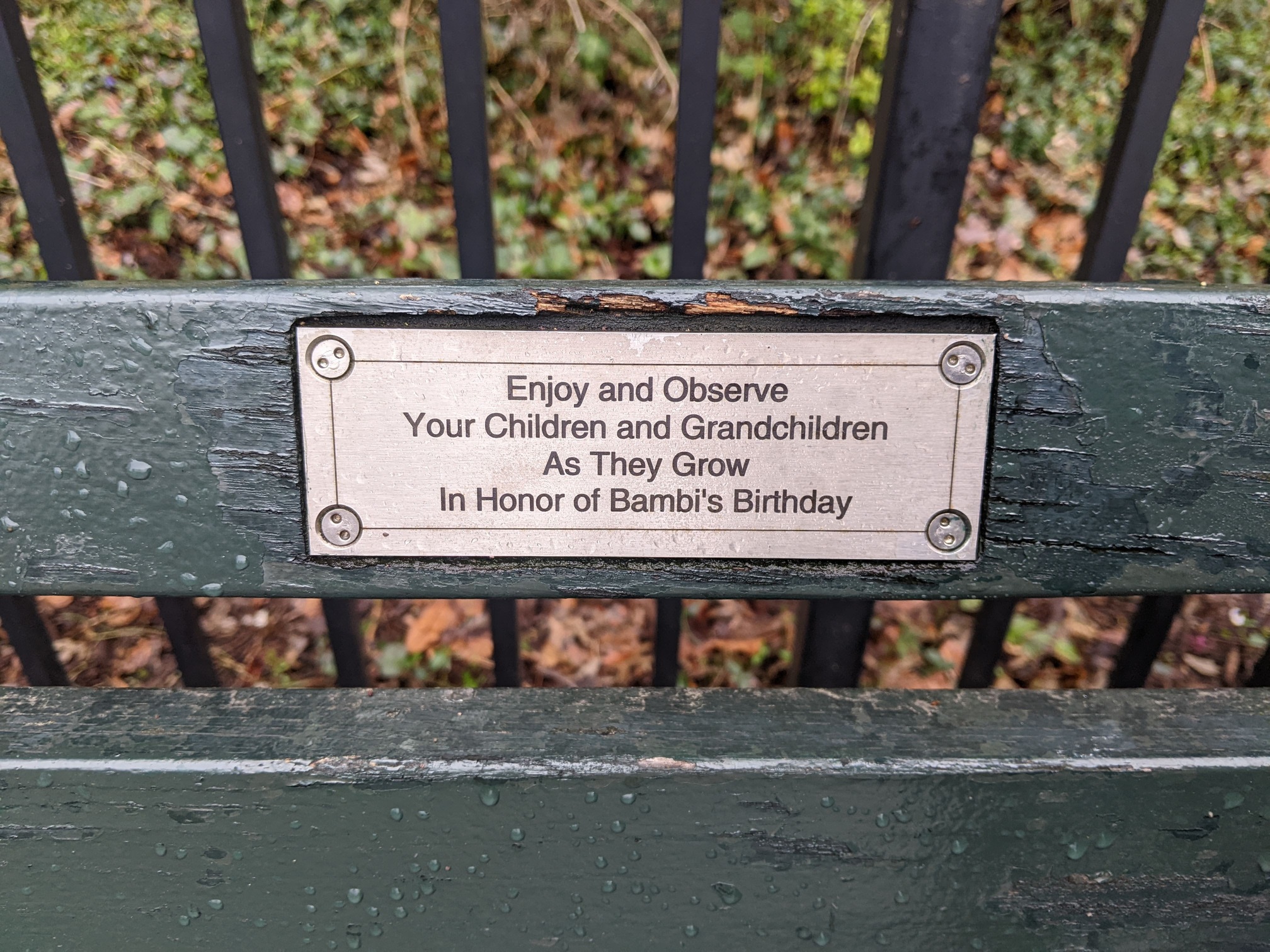 I saw this bench in Central Park