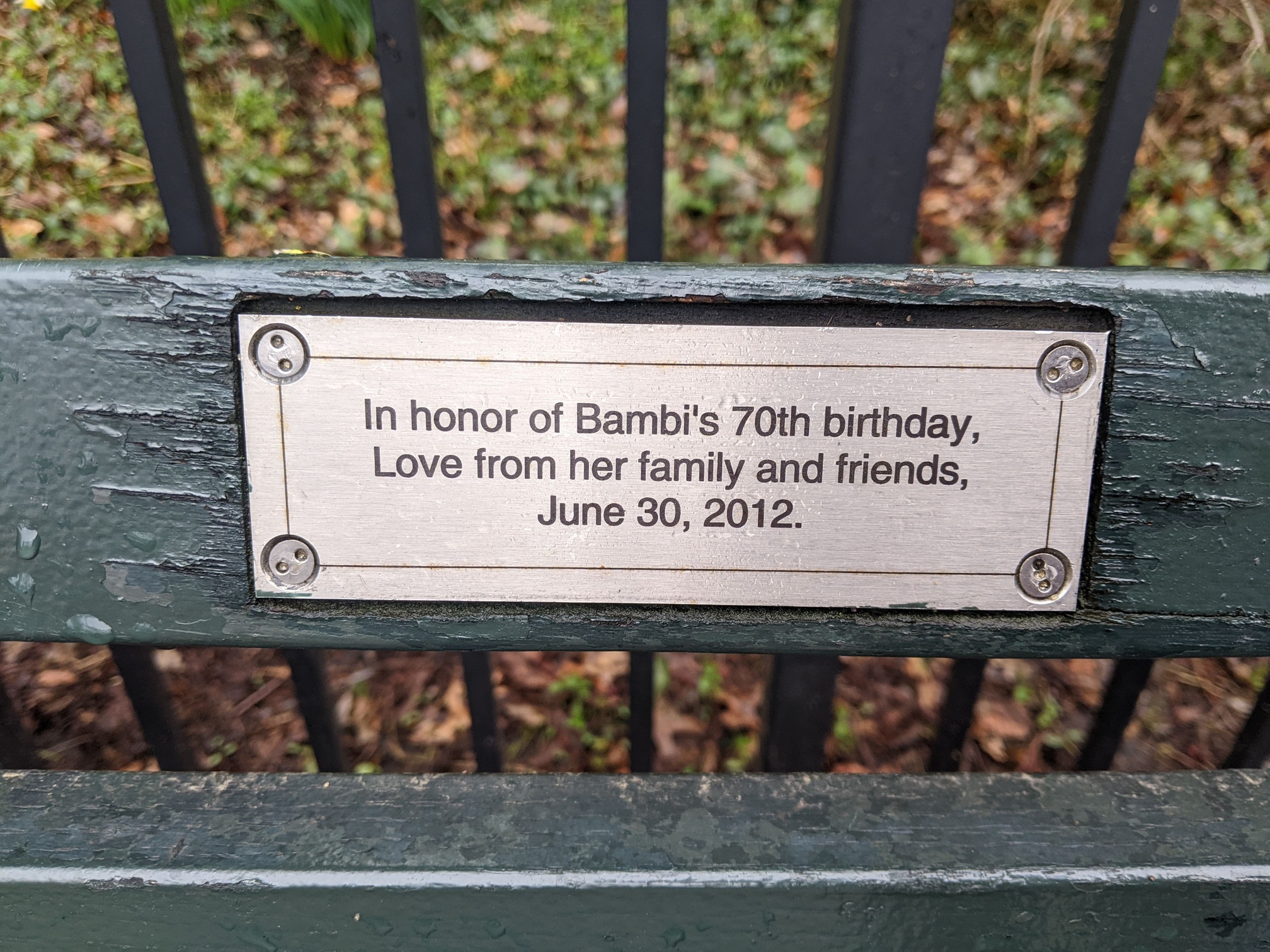 I saw this bench in Central Park