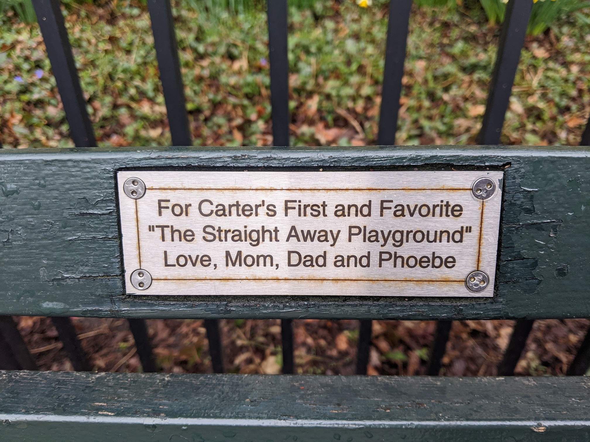 I saw this bench in Central Park