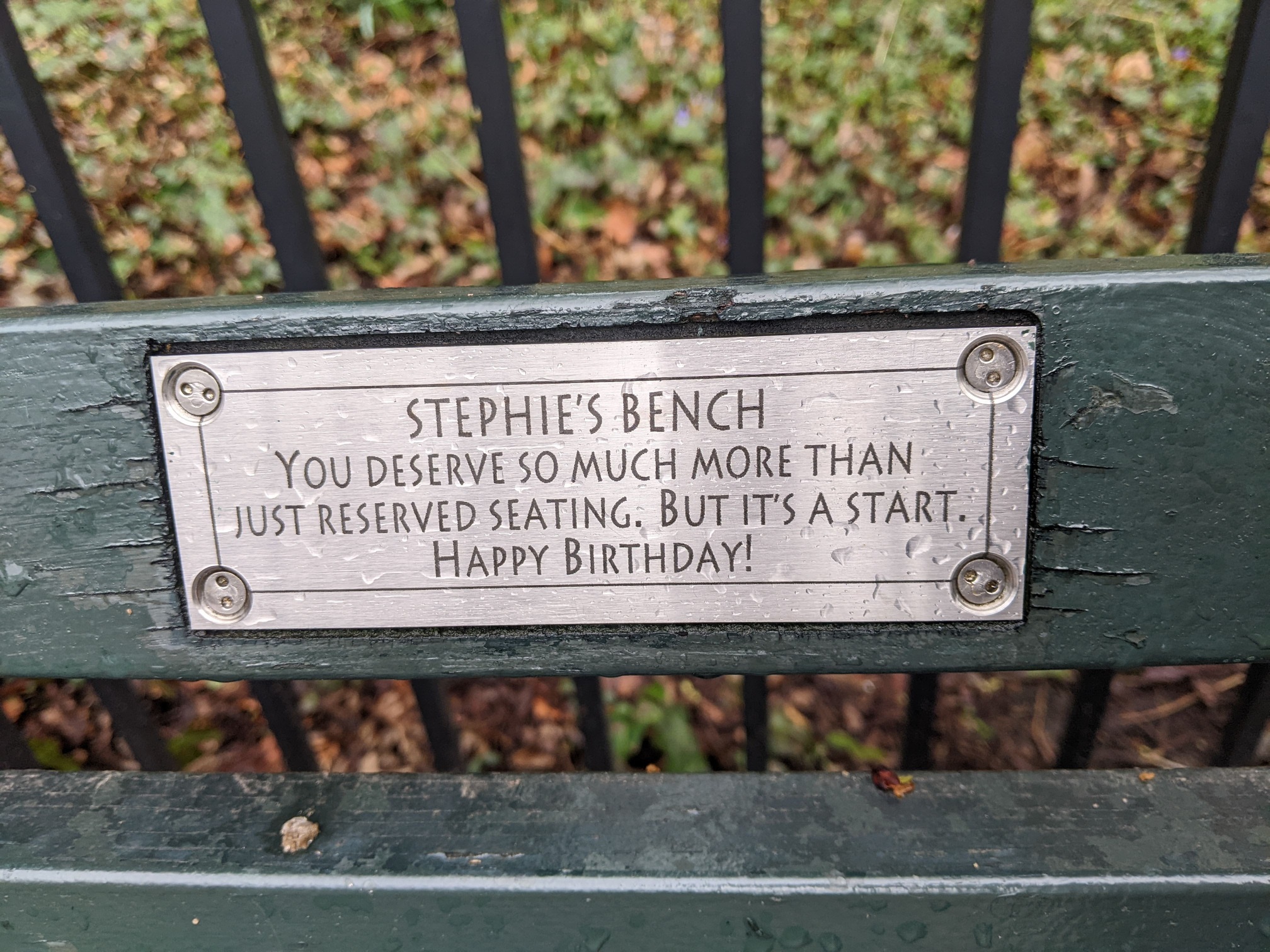 I saw this bench in Central Park