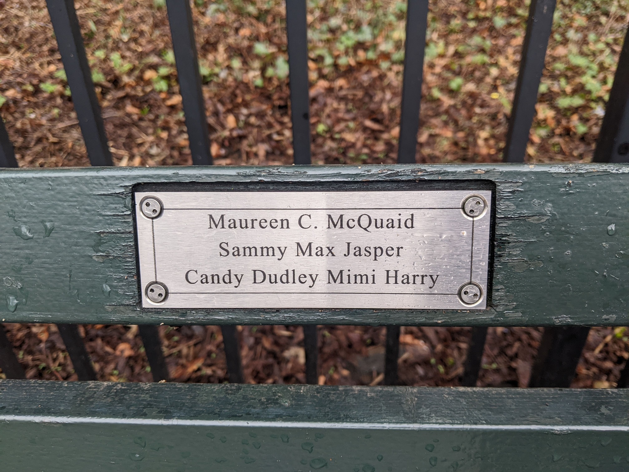 I saw this bench in Central Park