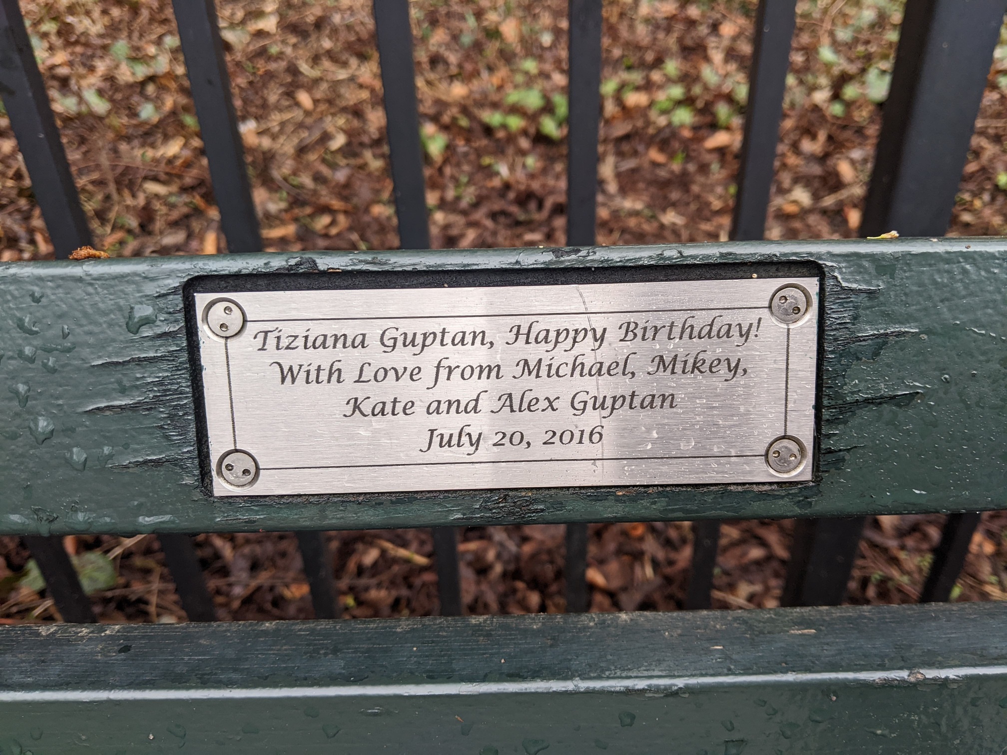 I saw this bench in Central Park