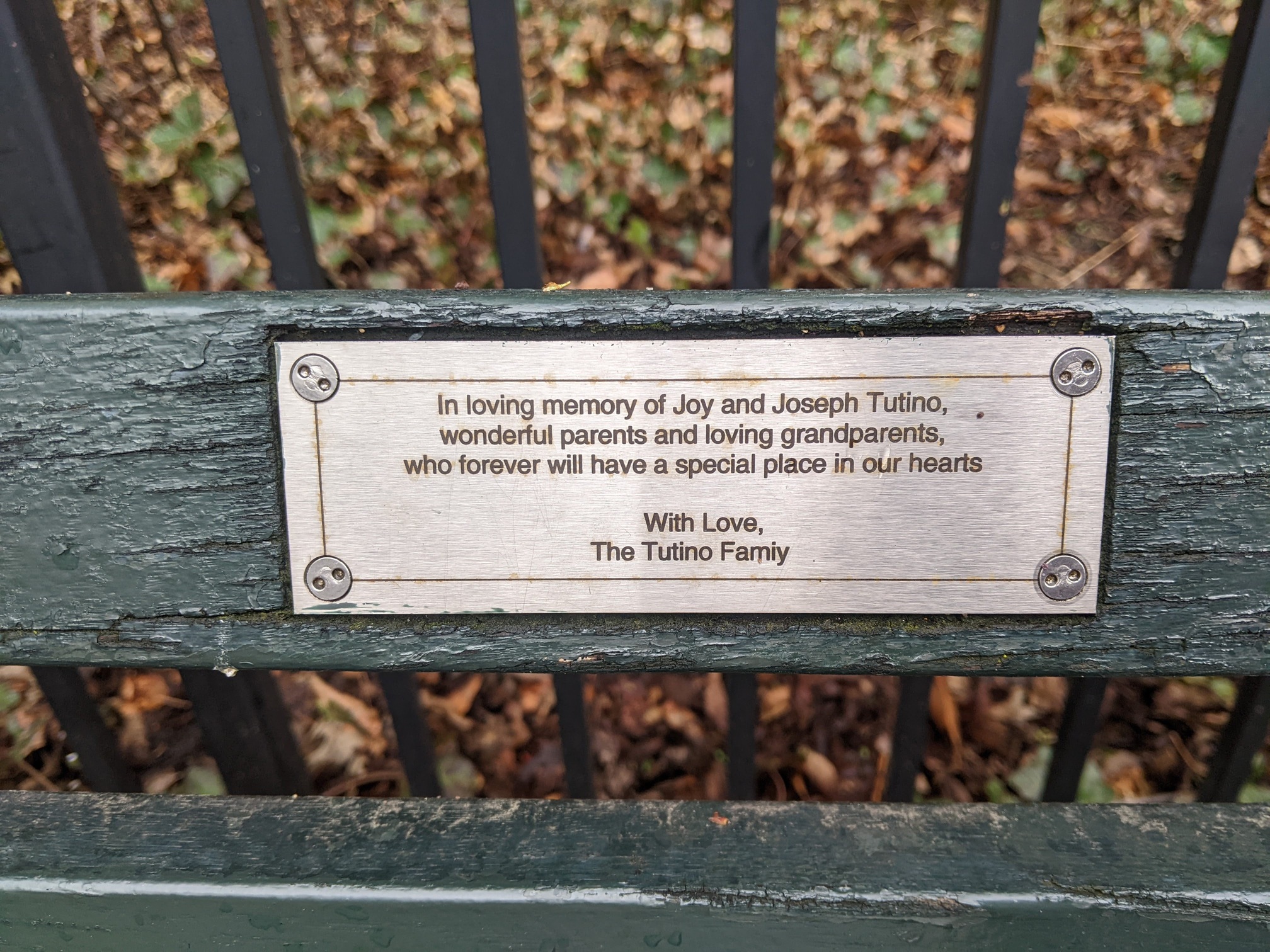 I saw this bench in Central Park