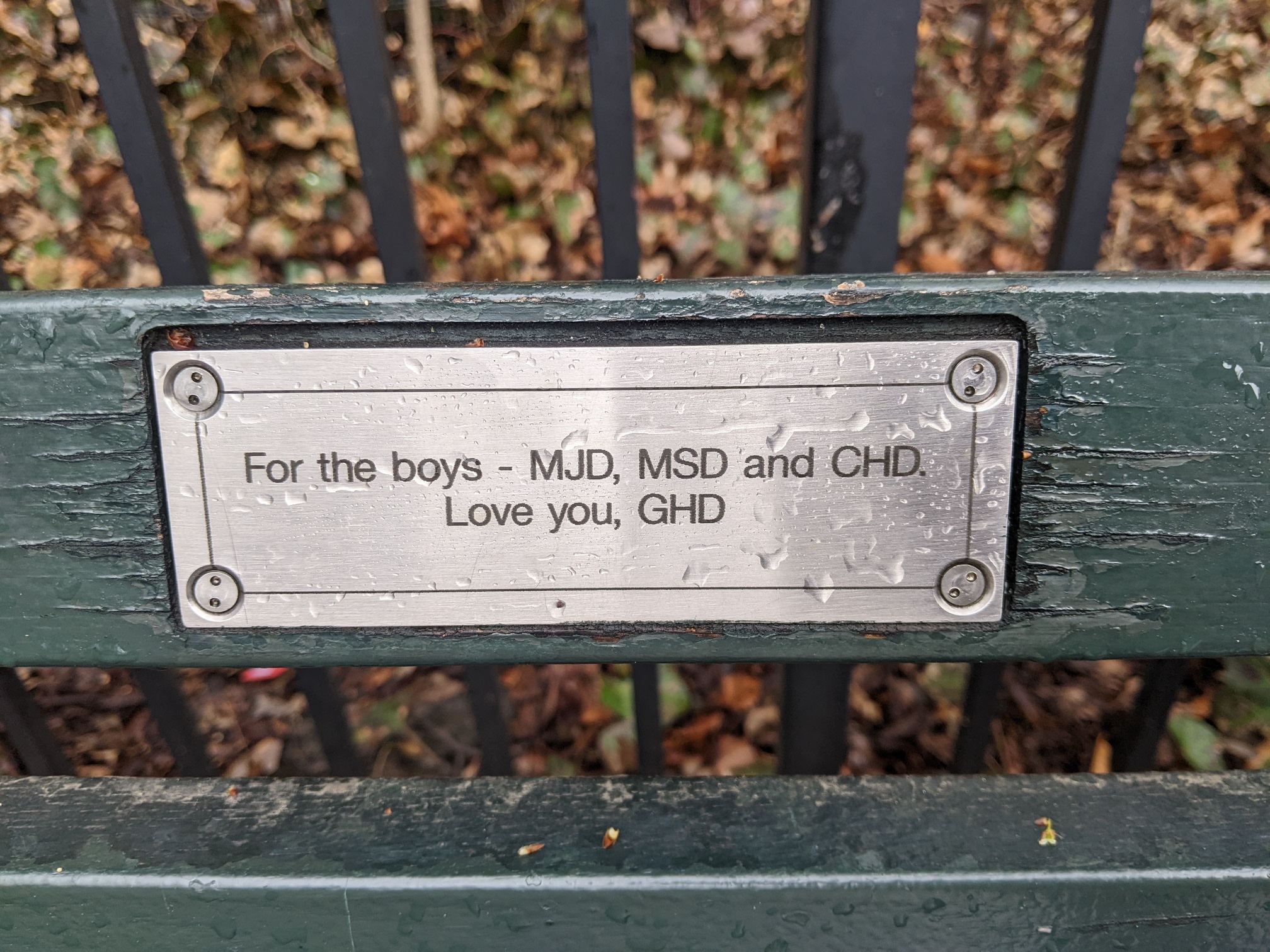 I saw this bench in Central Park