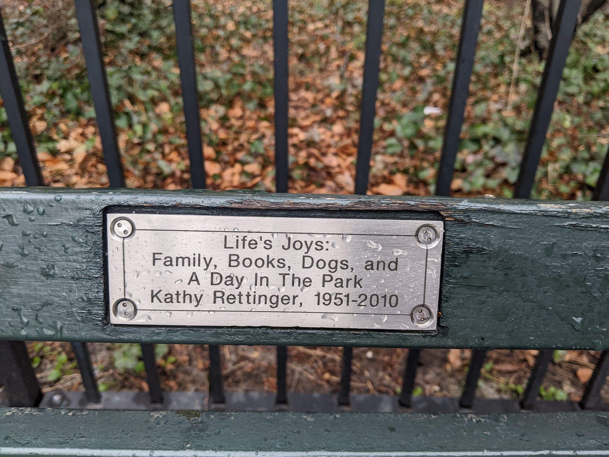 I saw this bench in Central Park