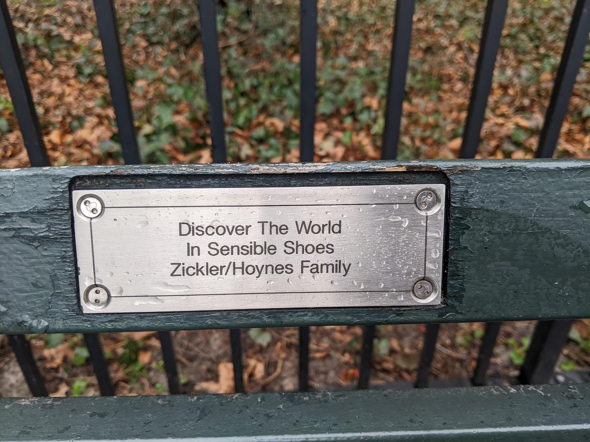 I saw this bench in Central Park