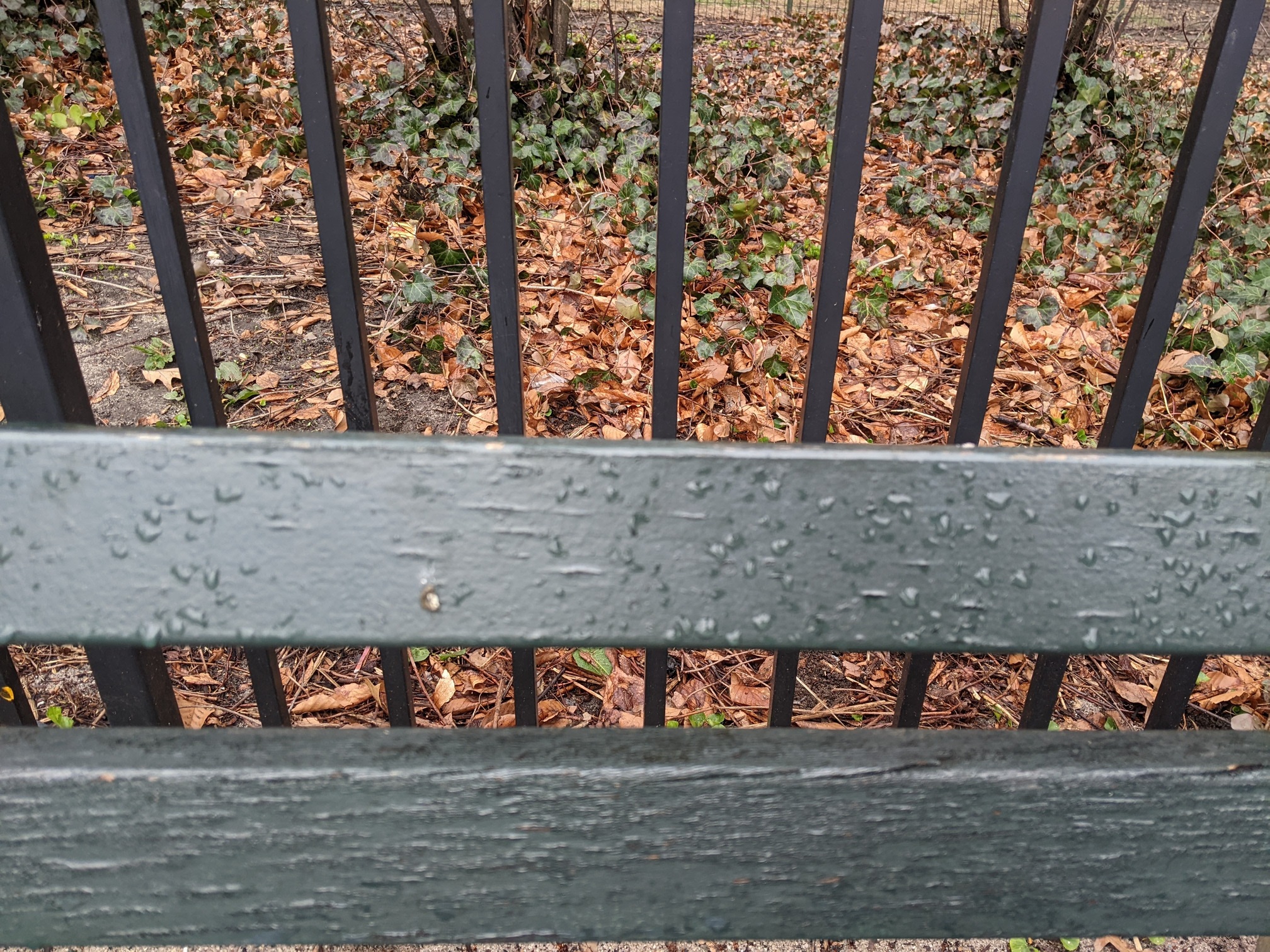 I saw this bench in Central Park