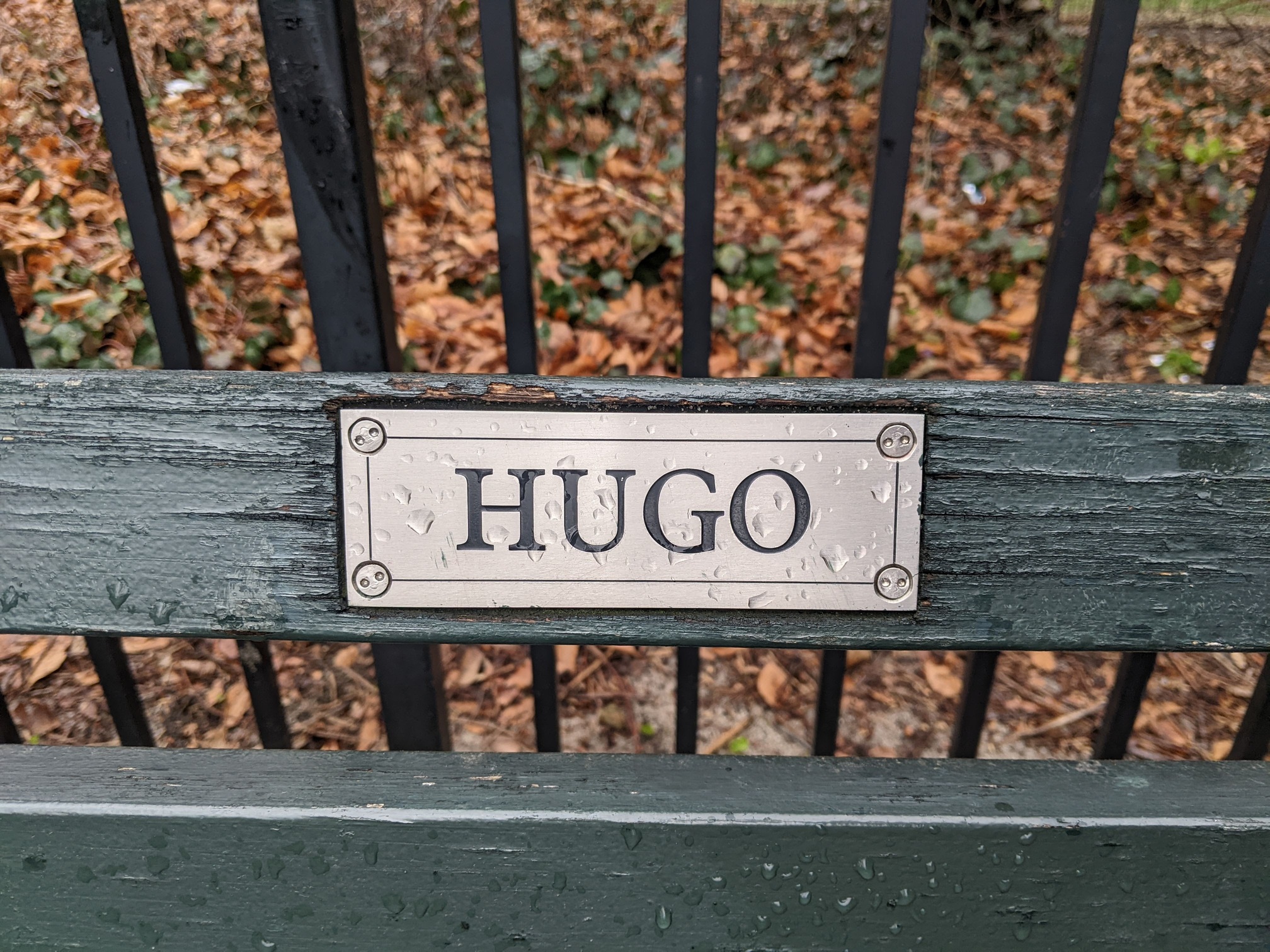 I saw this bench in Central Park