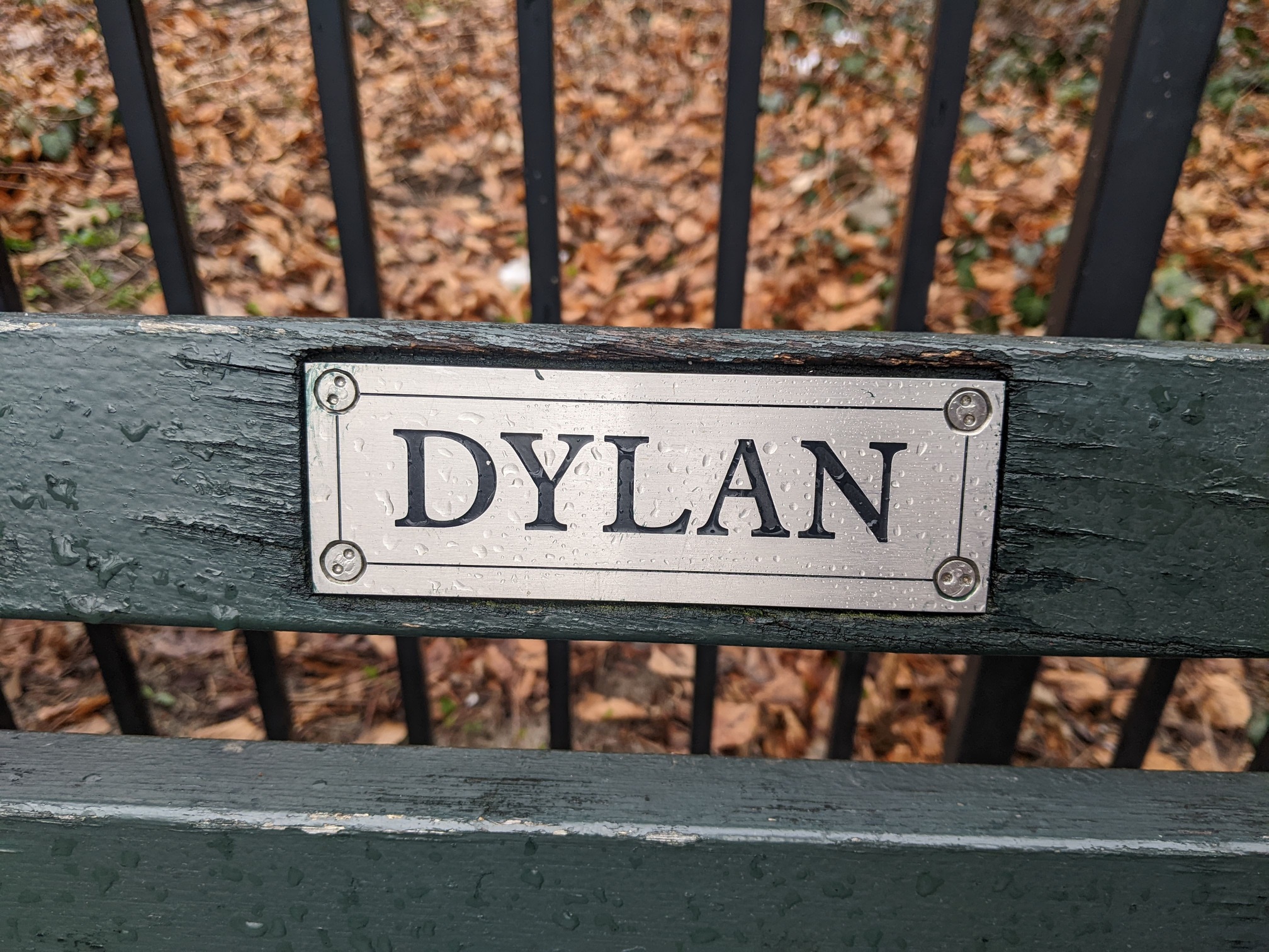 I saw this bench in Central Park