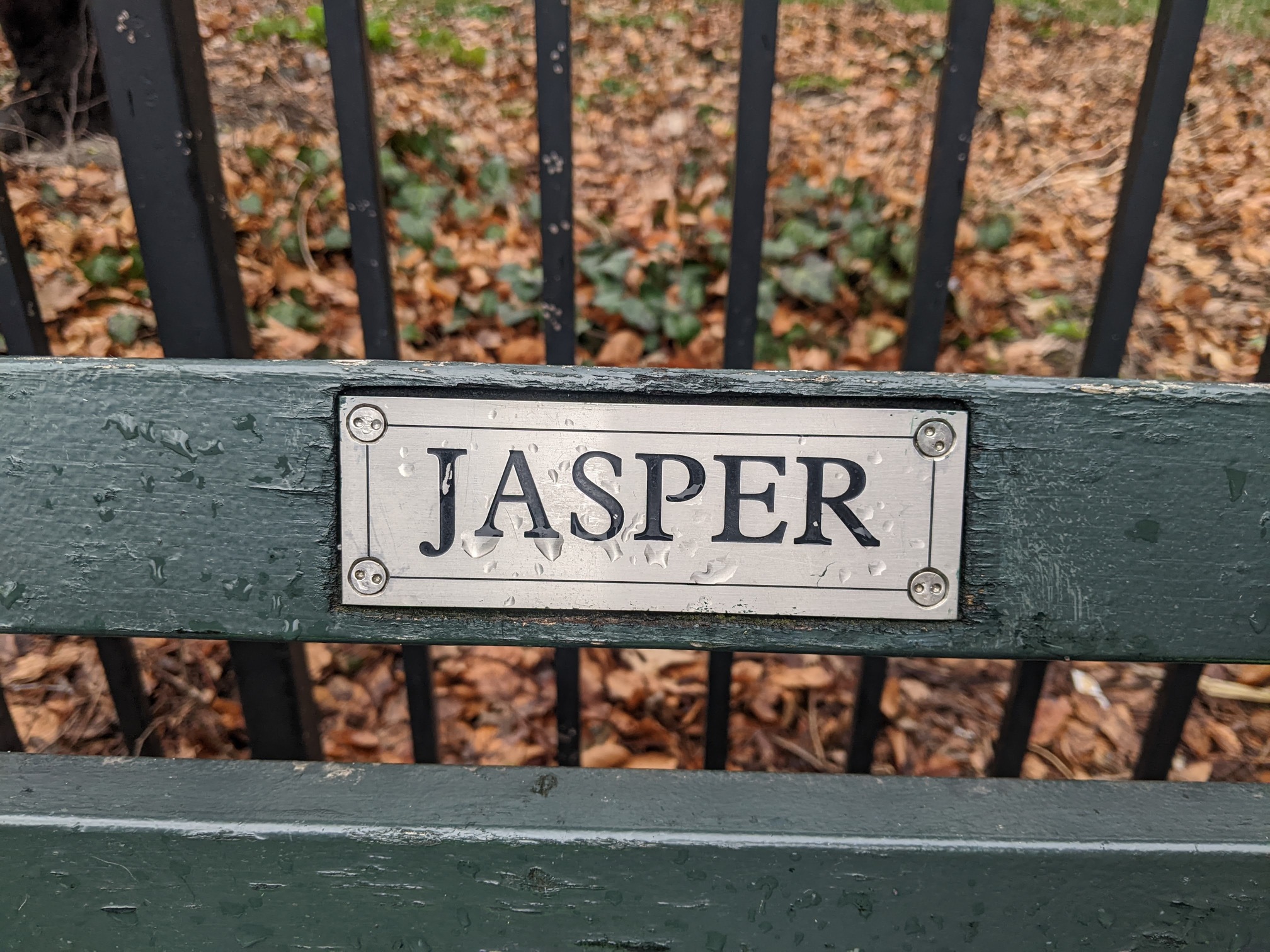 I saw this bench in Central Park