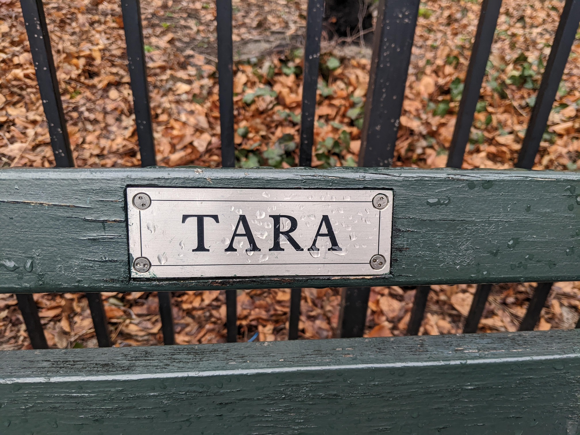 I saw this bench in Central Park