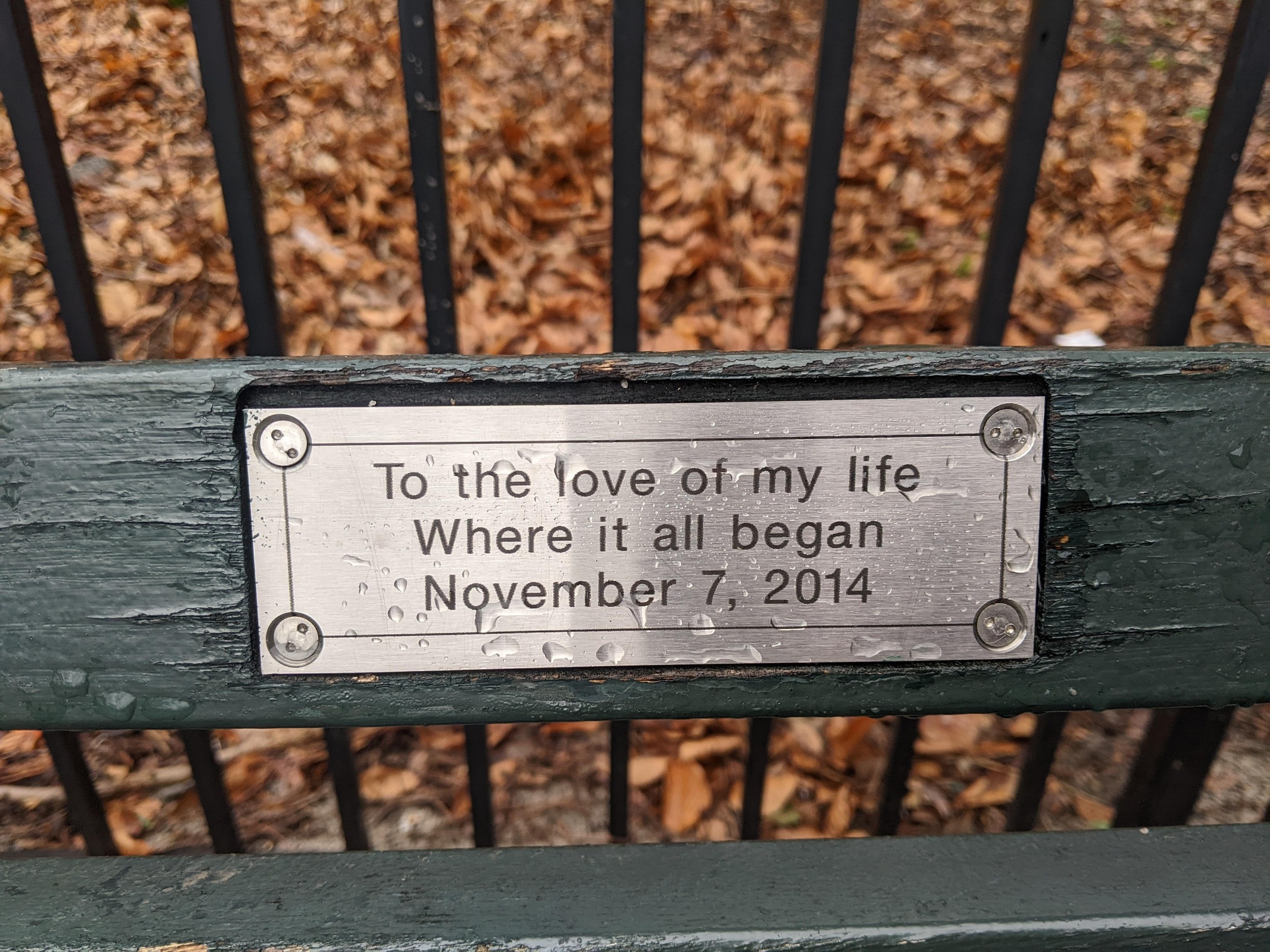 I saw this bench in Central Park