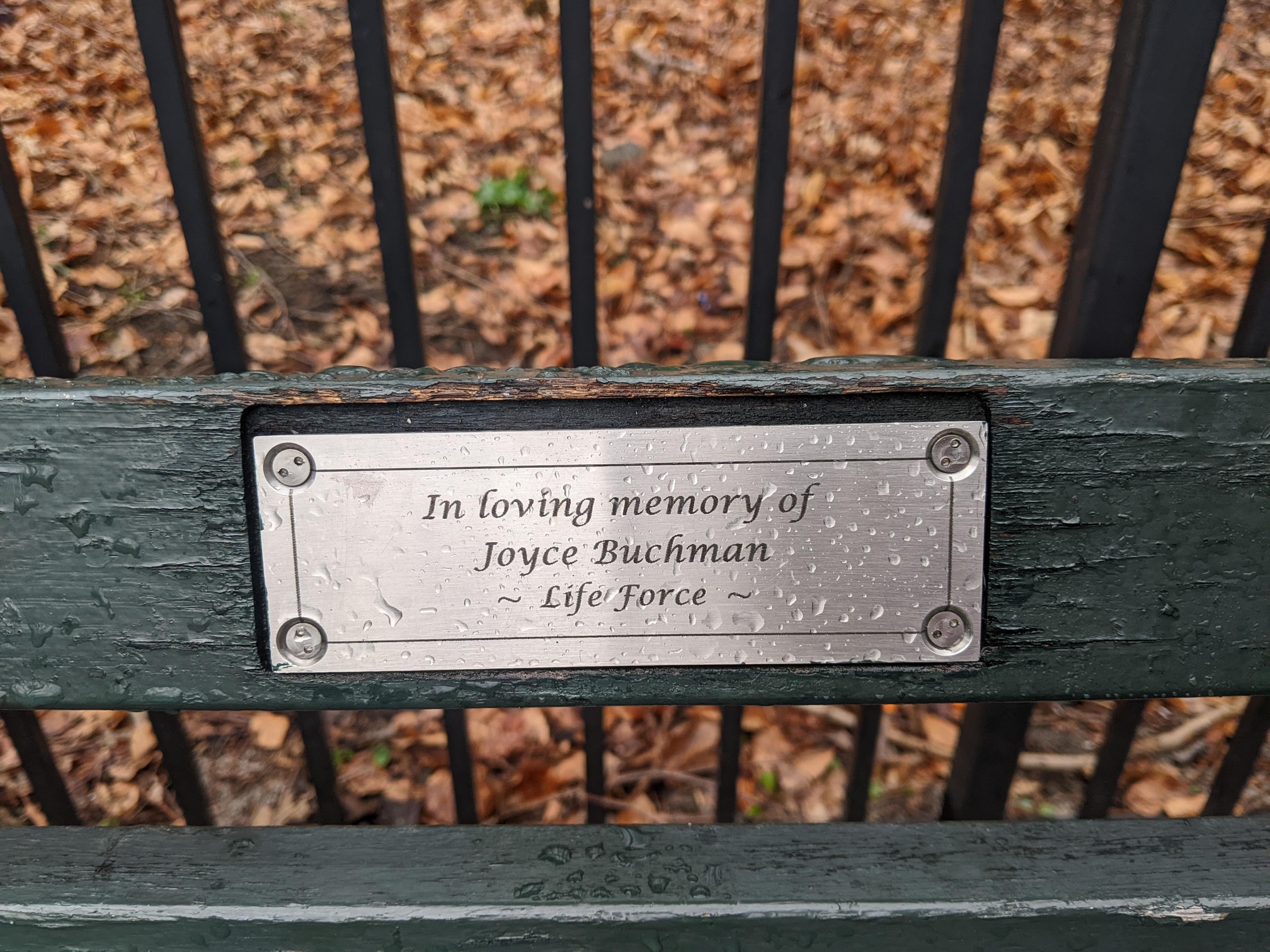 I saw this bench in Central Park