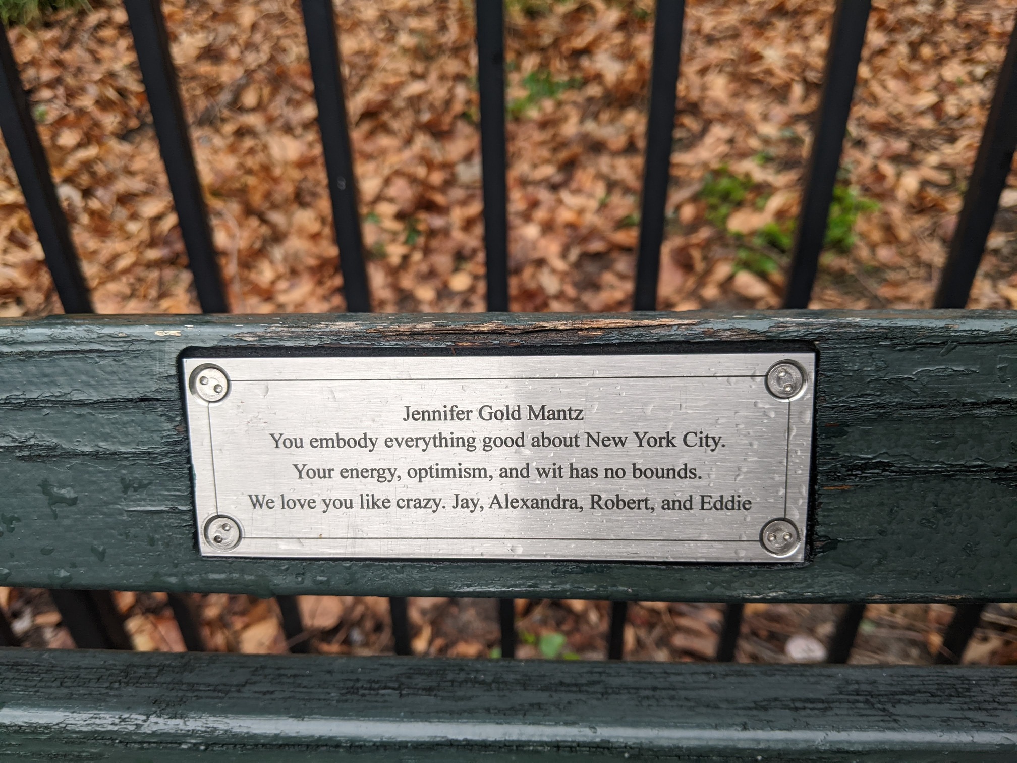 I saw this bench in Central Park