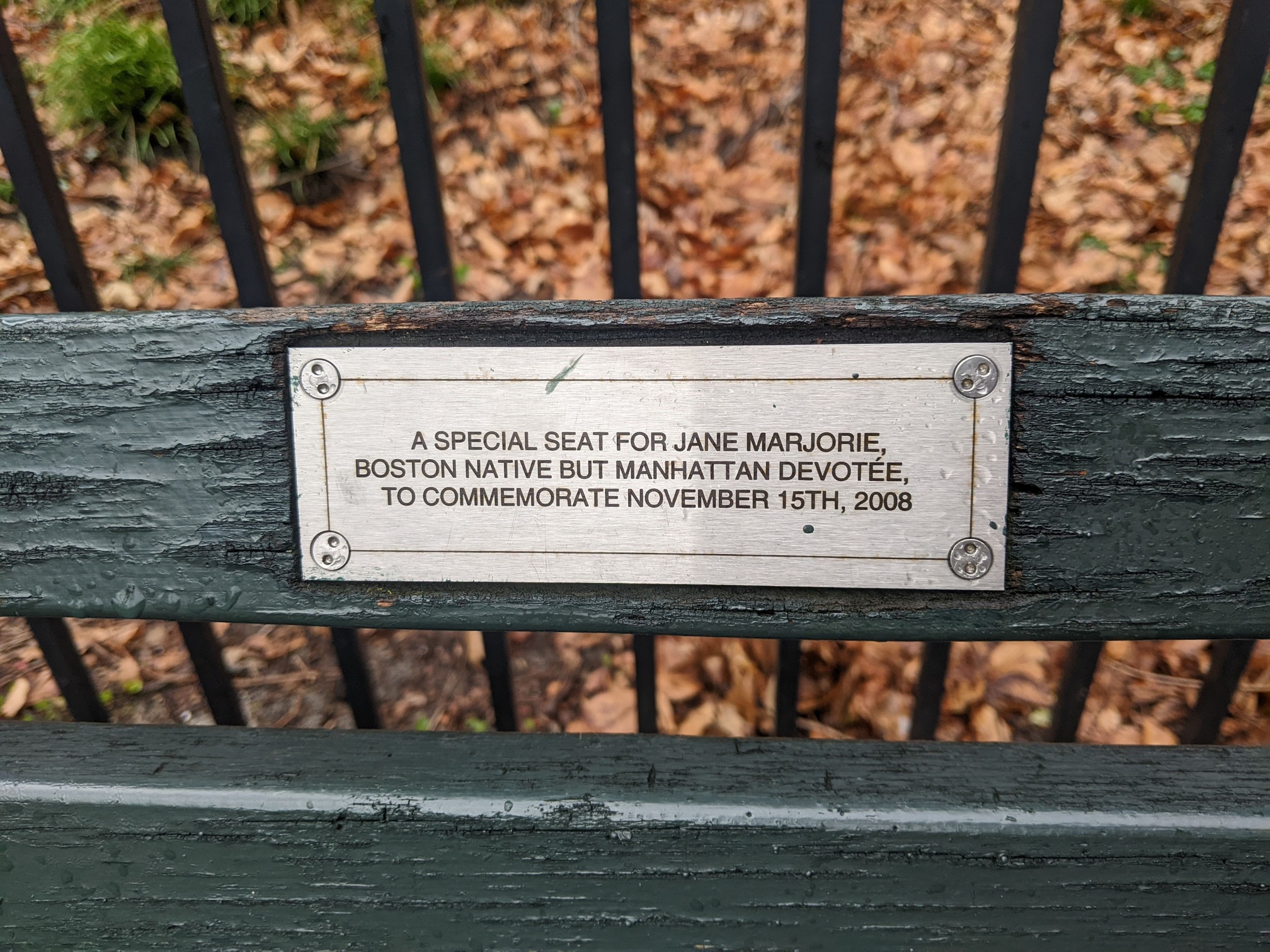 I saw this bench in Central Park