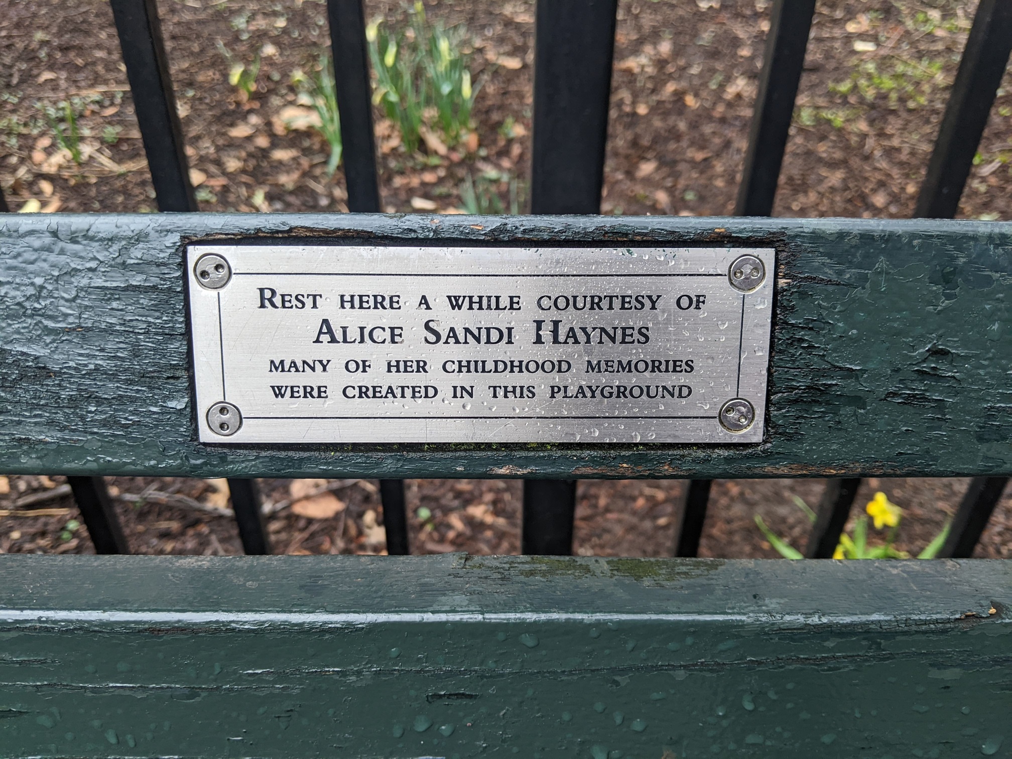 I saw this bench in Central Park