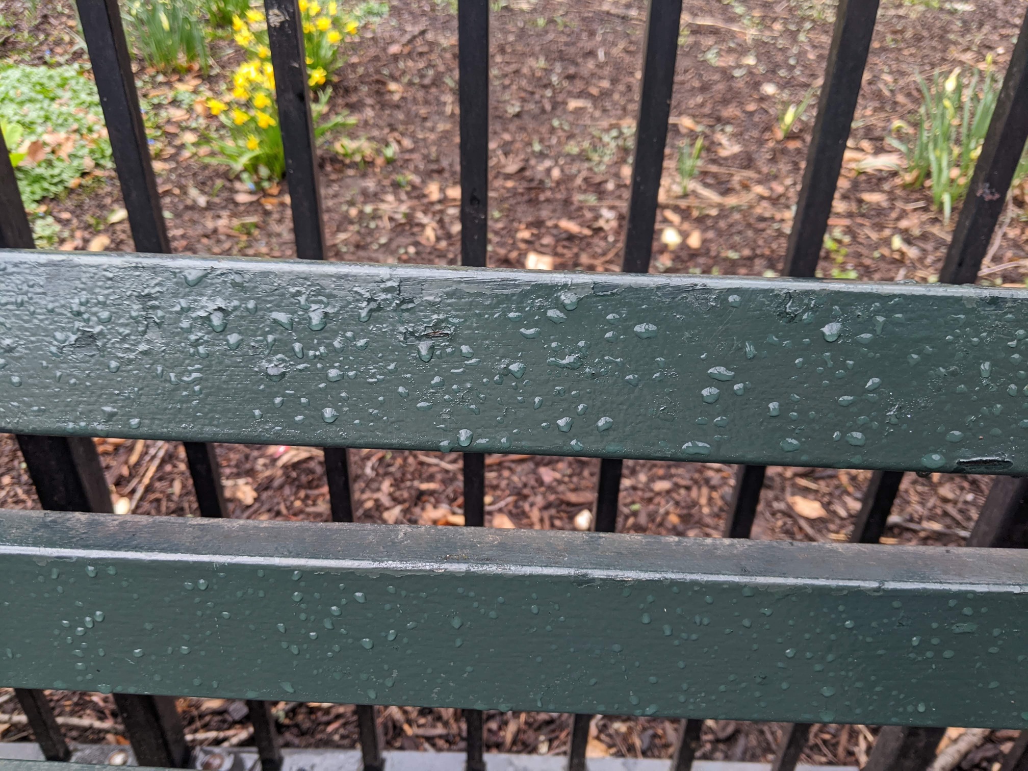 I saw this bench in Central Park