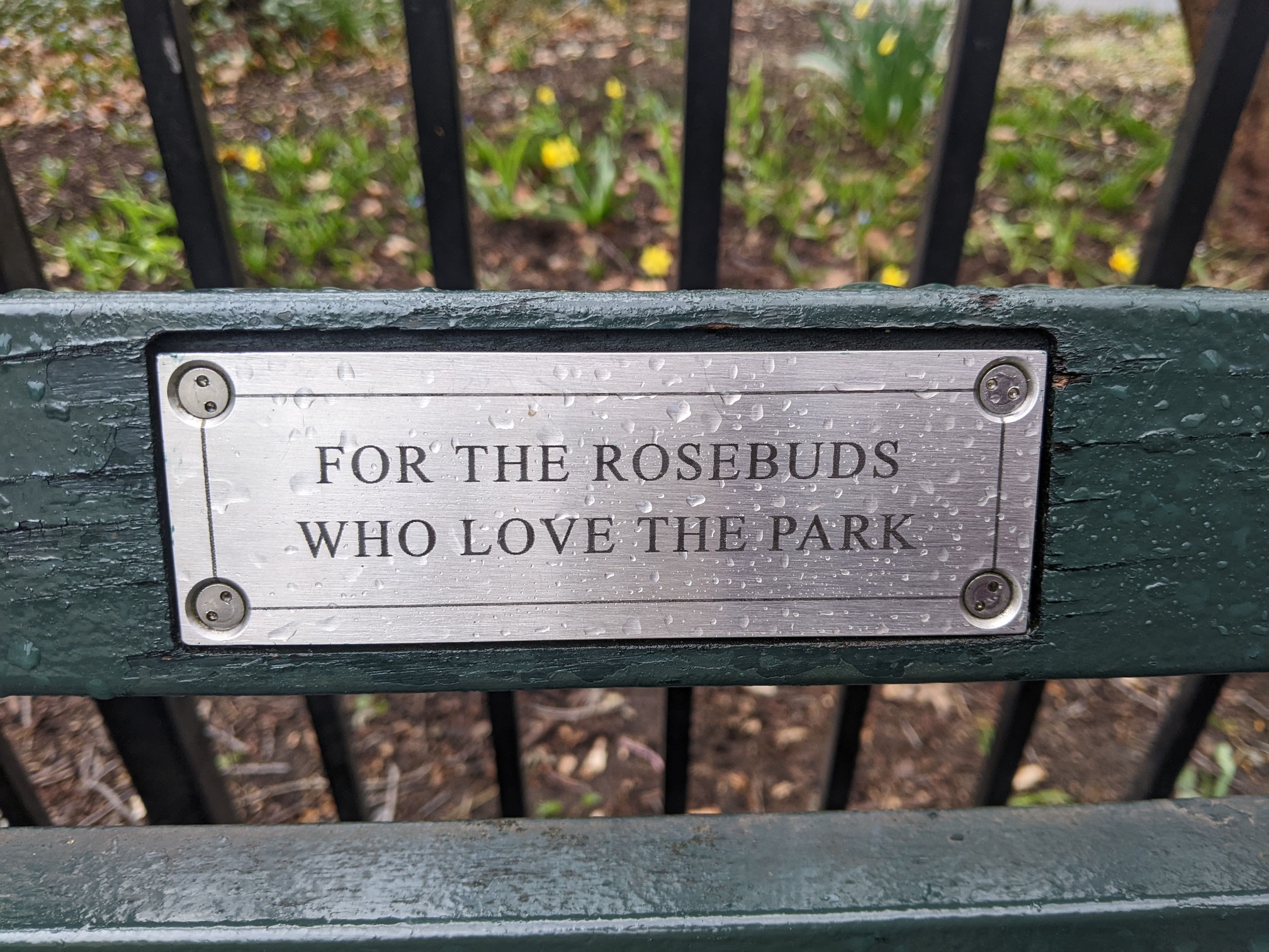 I saw this bench in Central Park