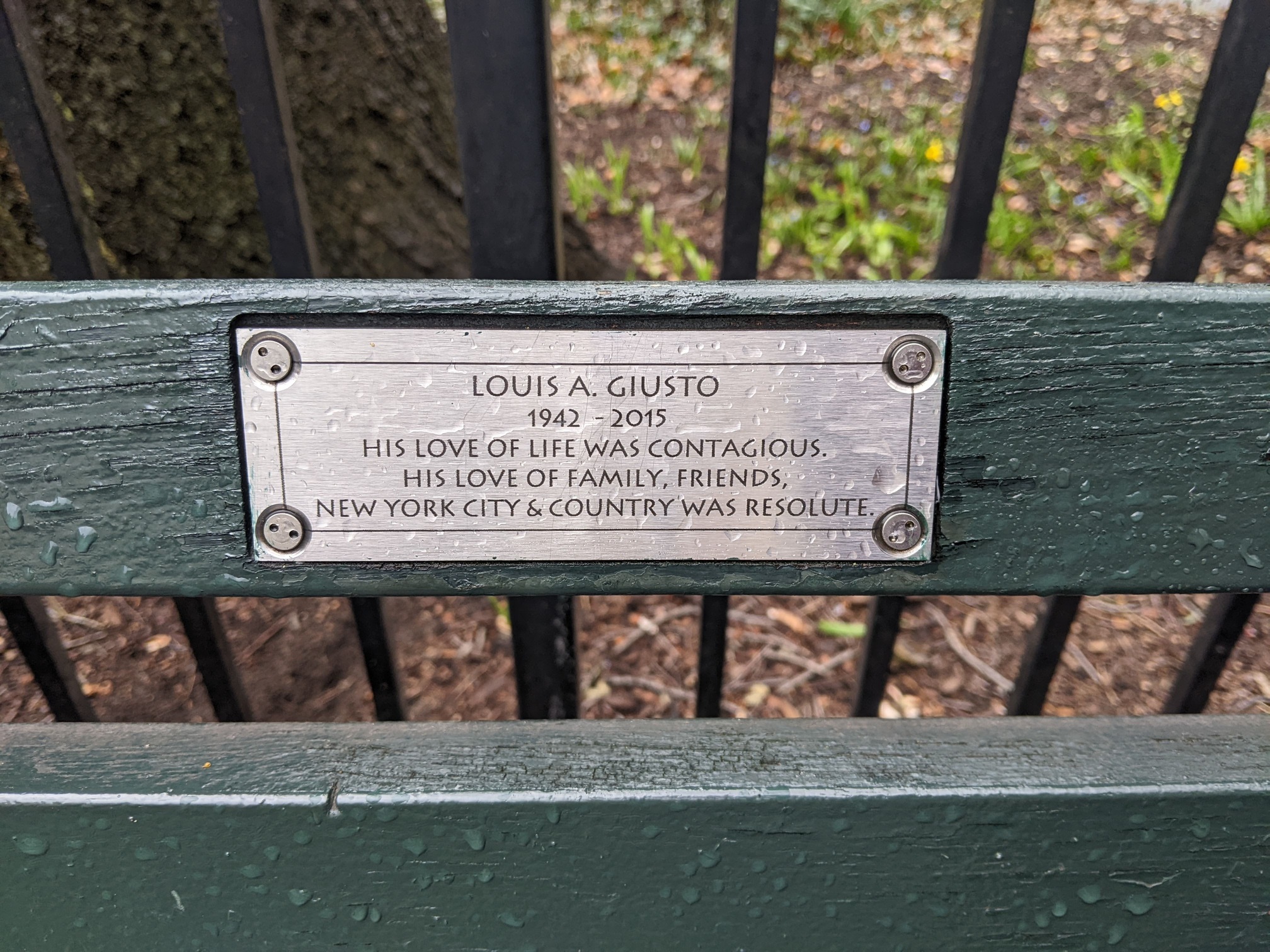 I saw this bench in Central Park