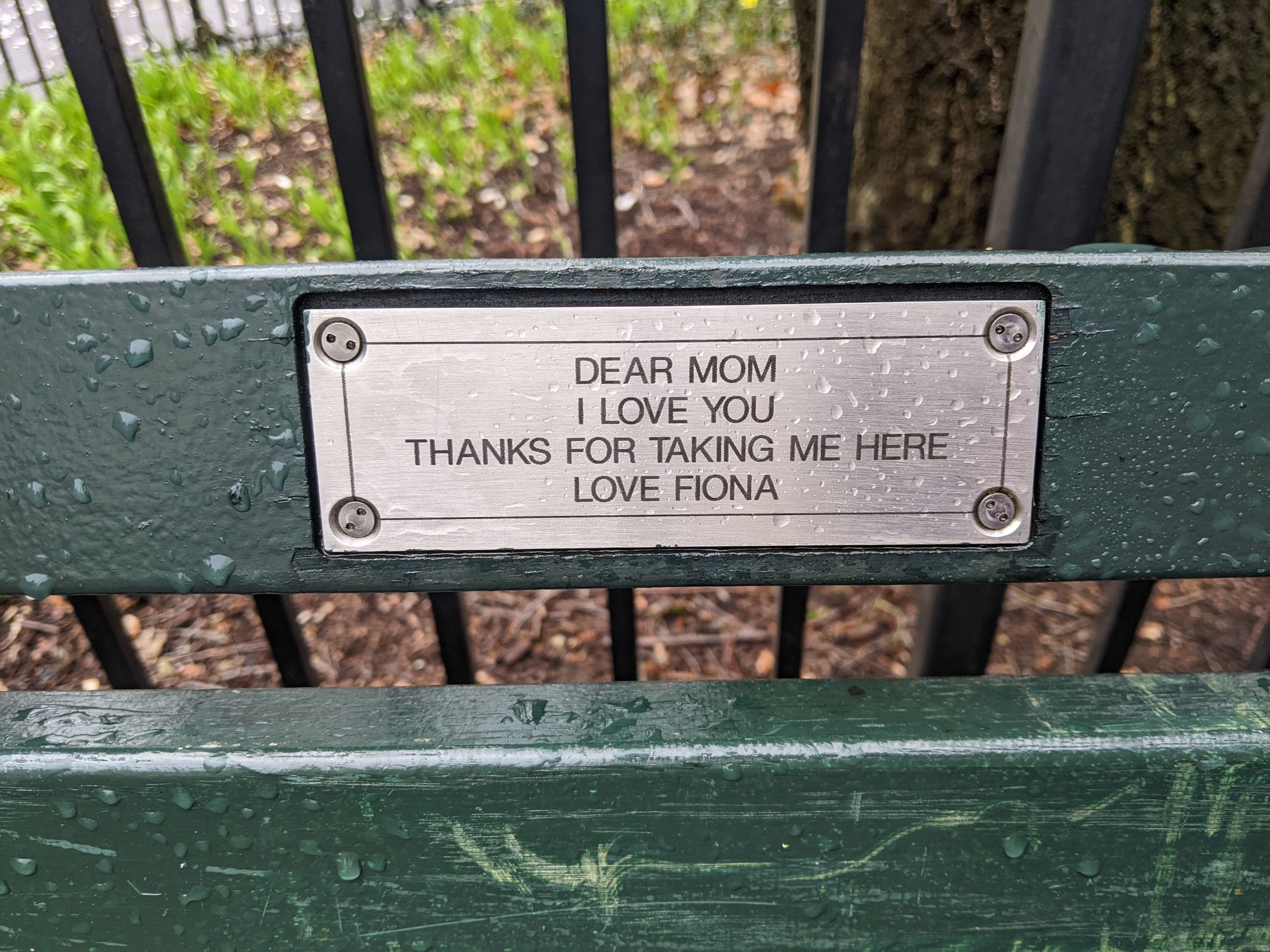 I saw this bench in Central Park