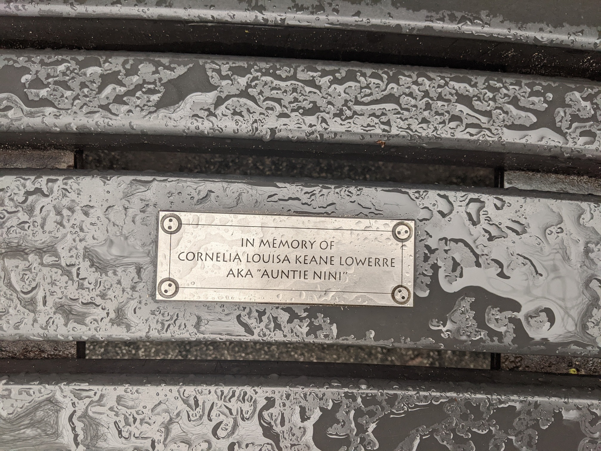 I saw this bench in Central Park