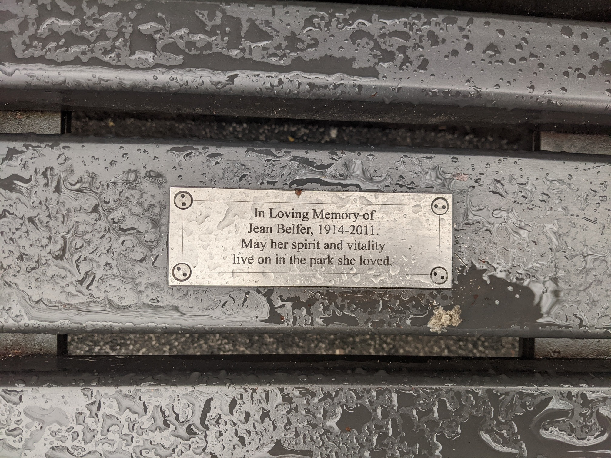 I saw this bench in Central Park