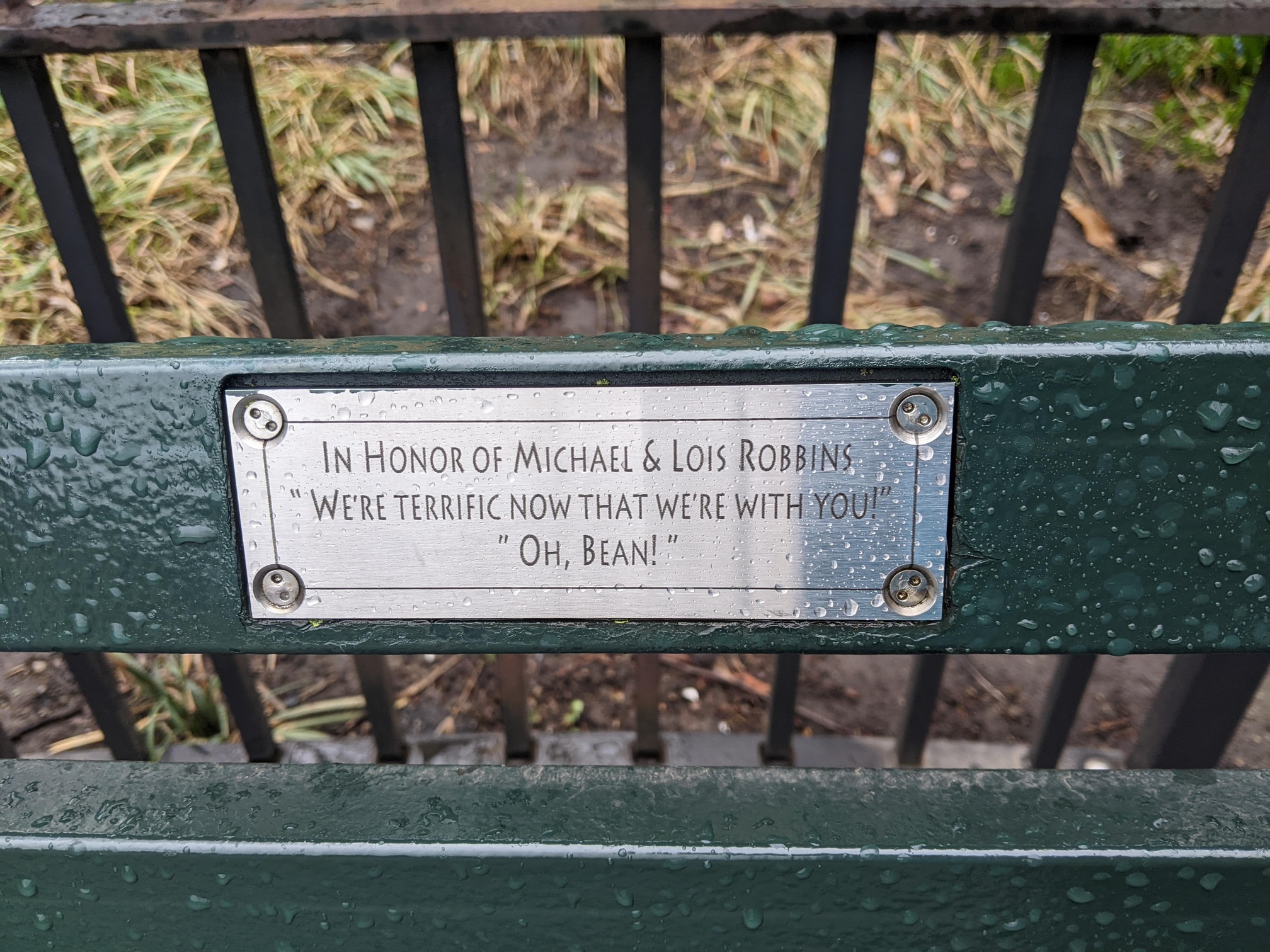 I saw this bench in Central Park