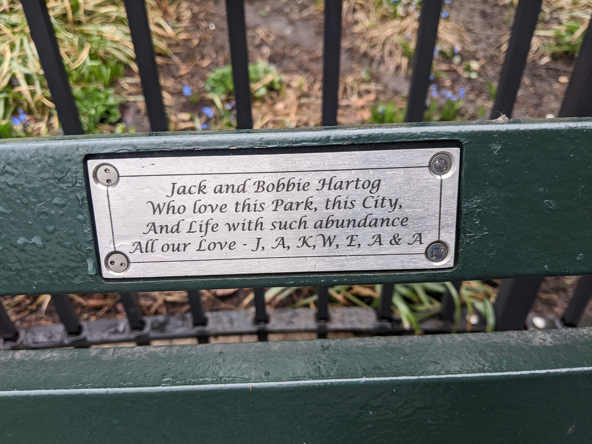 I saw this bench in Central Park