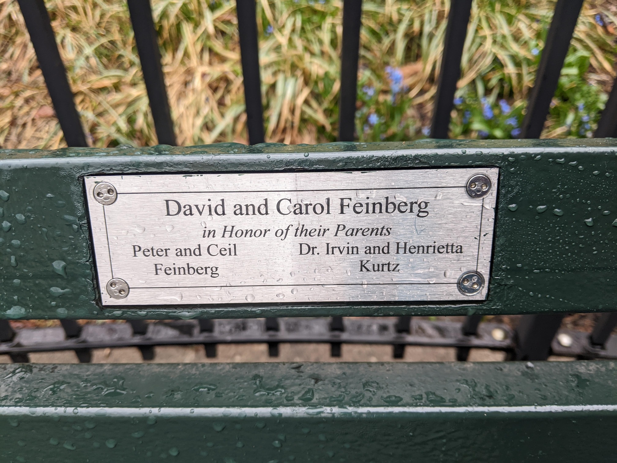 I saw this bench in Central Park