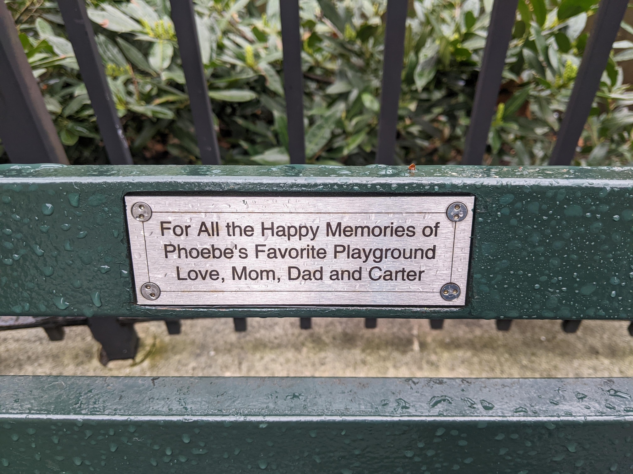 I saw this bench in Central Park