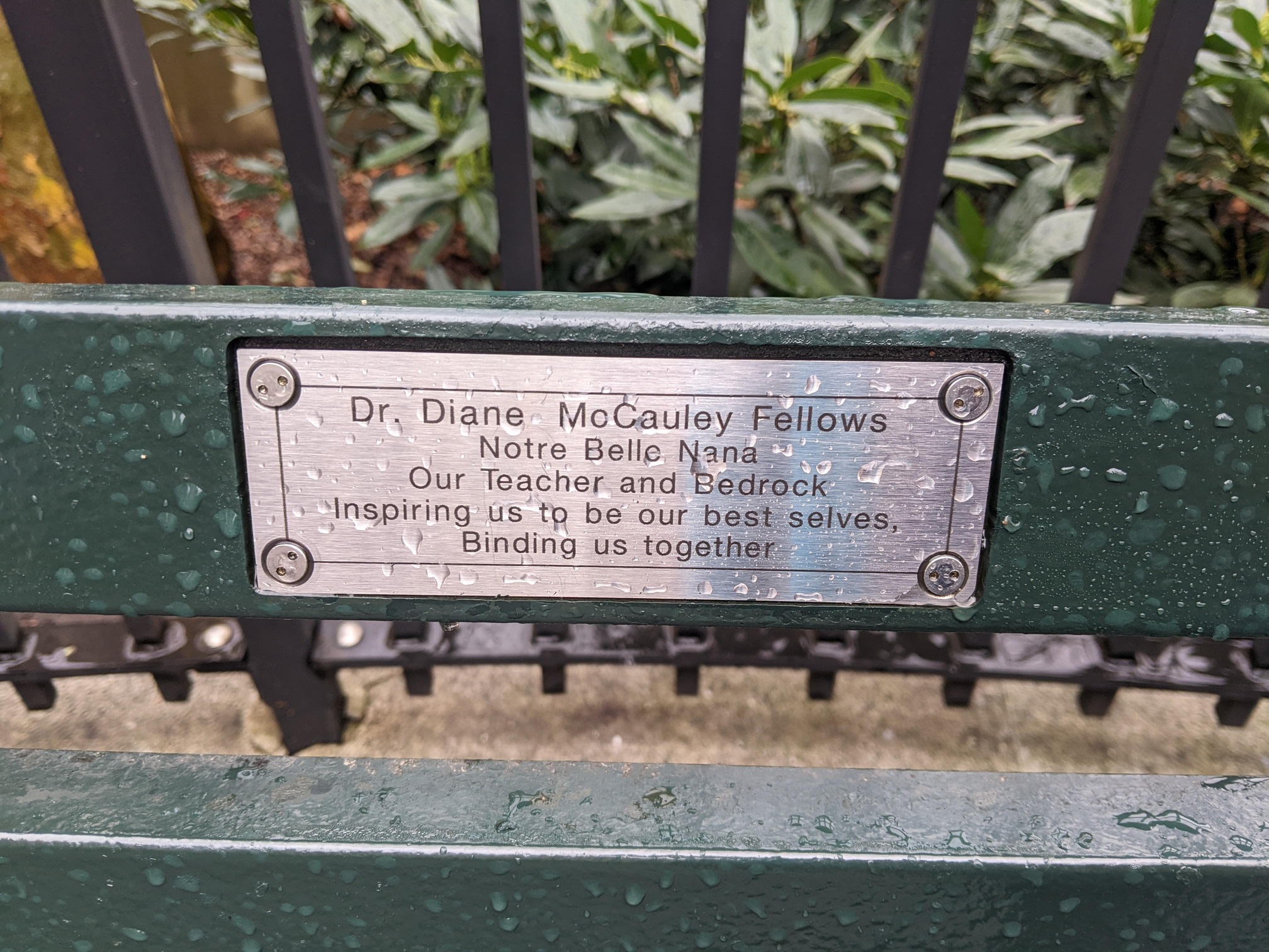 I saw this bench in Central Park