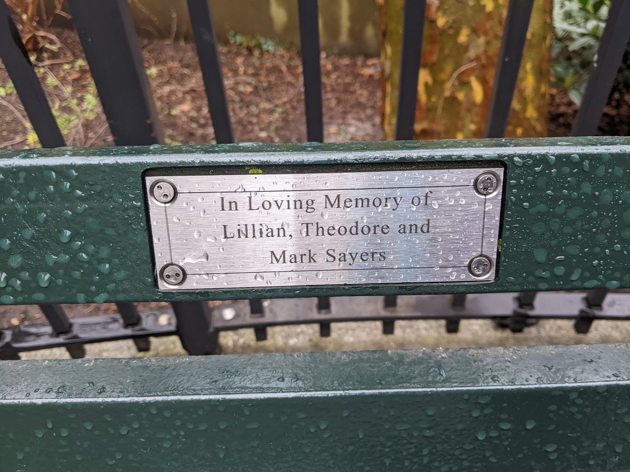 I saw this bench in Central Park