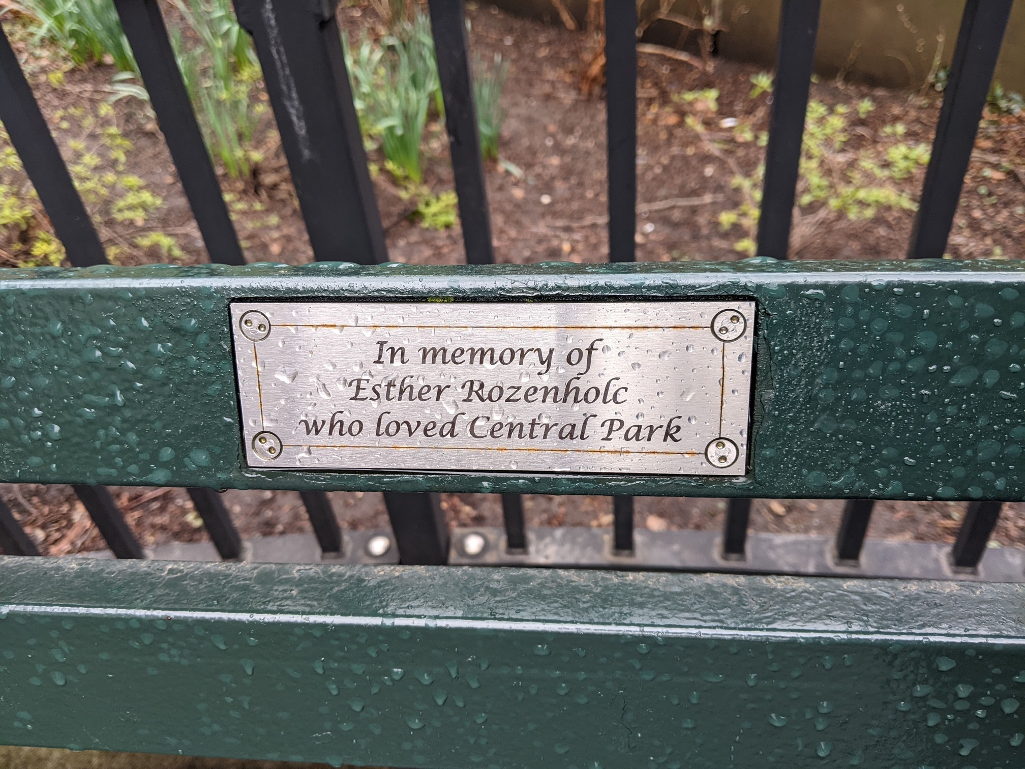 I saw this bench in Central Park