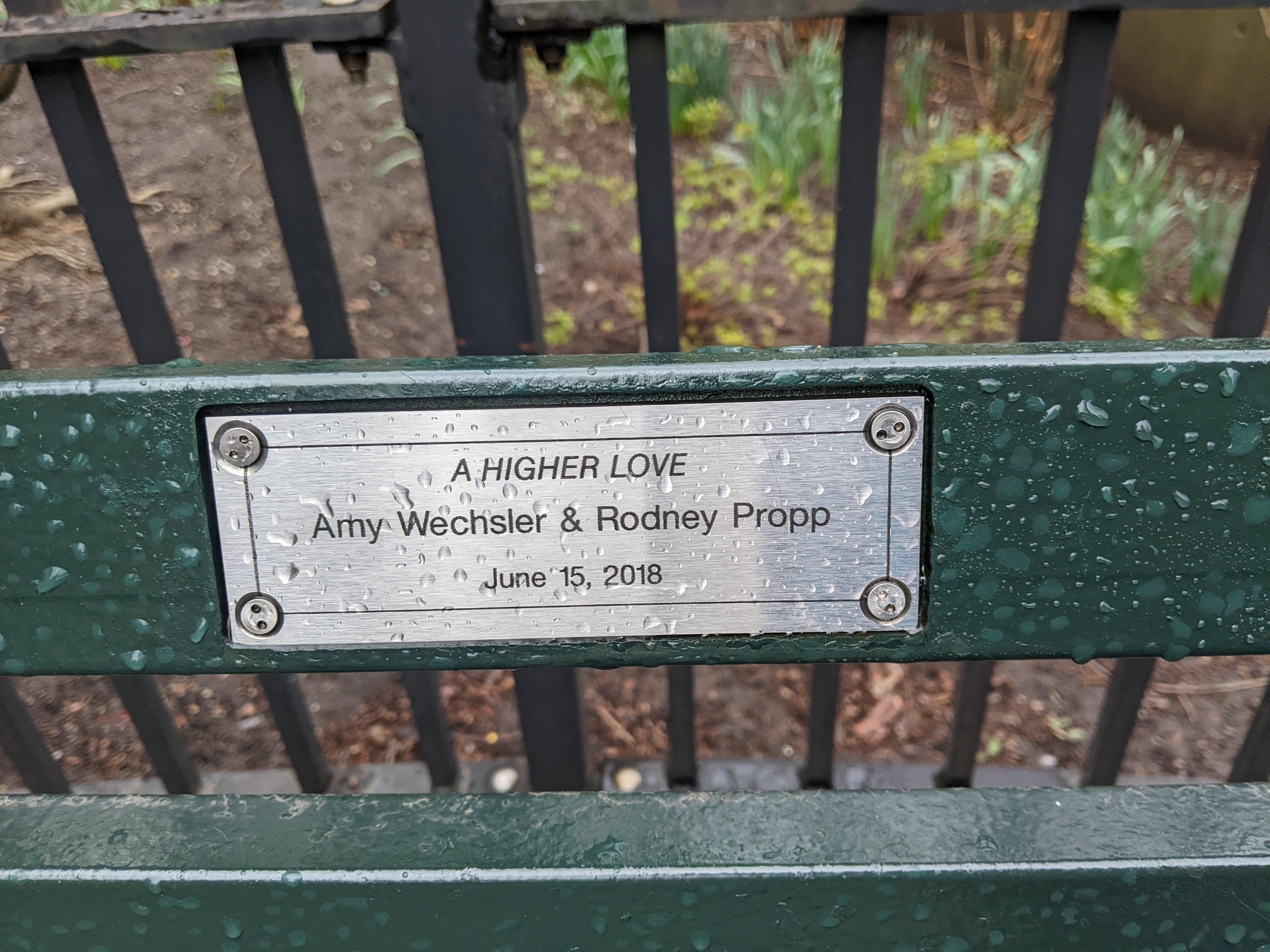 I saw this bench in Central Park